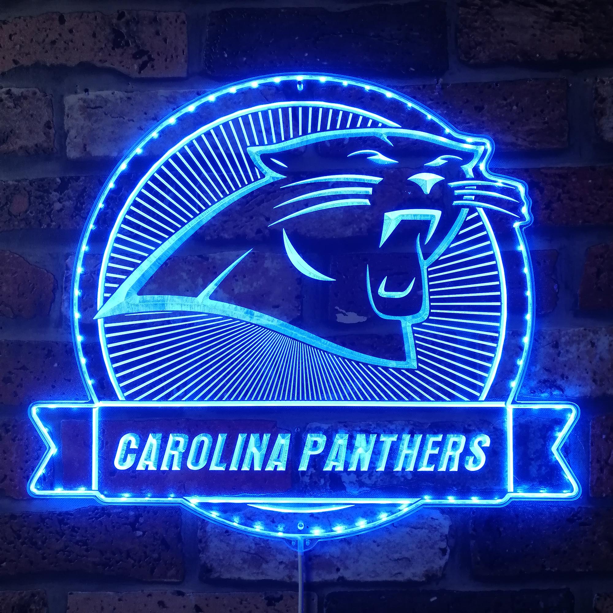 Carolina Panthers Dynamic RGB Light Neon Led Light Sign