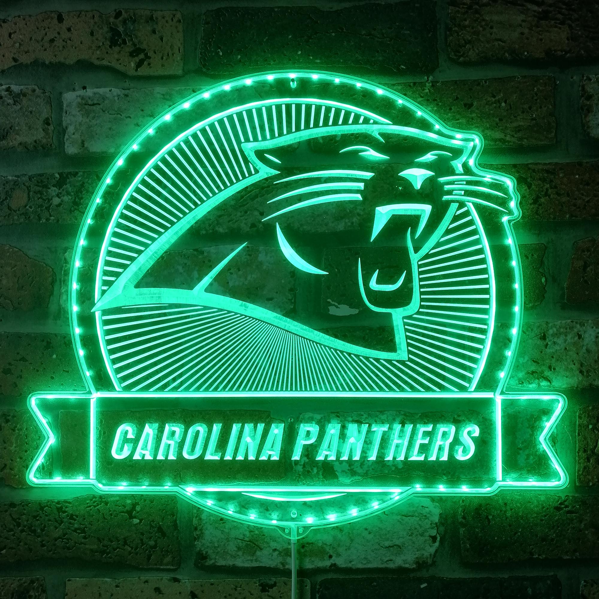 Carolina Panthers Dynamic RGB Light Neon Led Light Sign