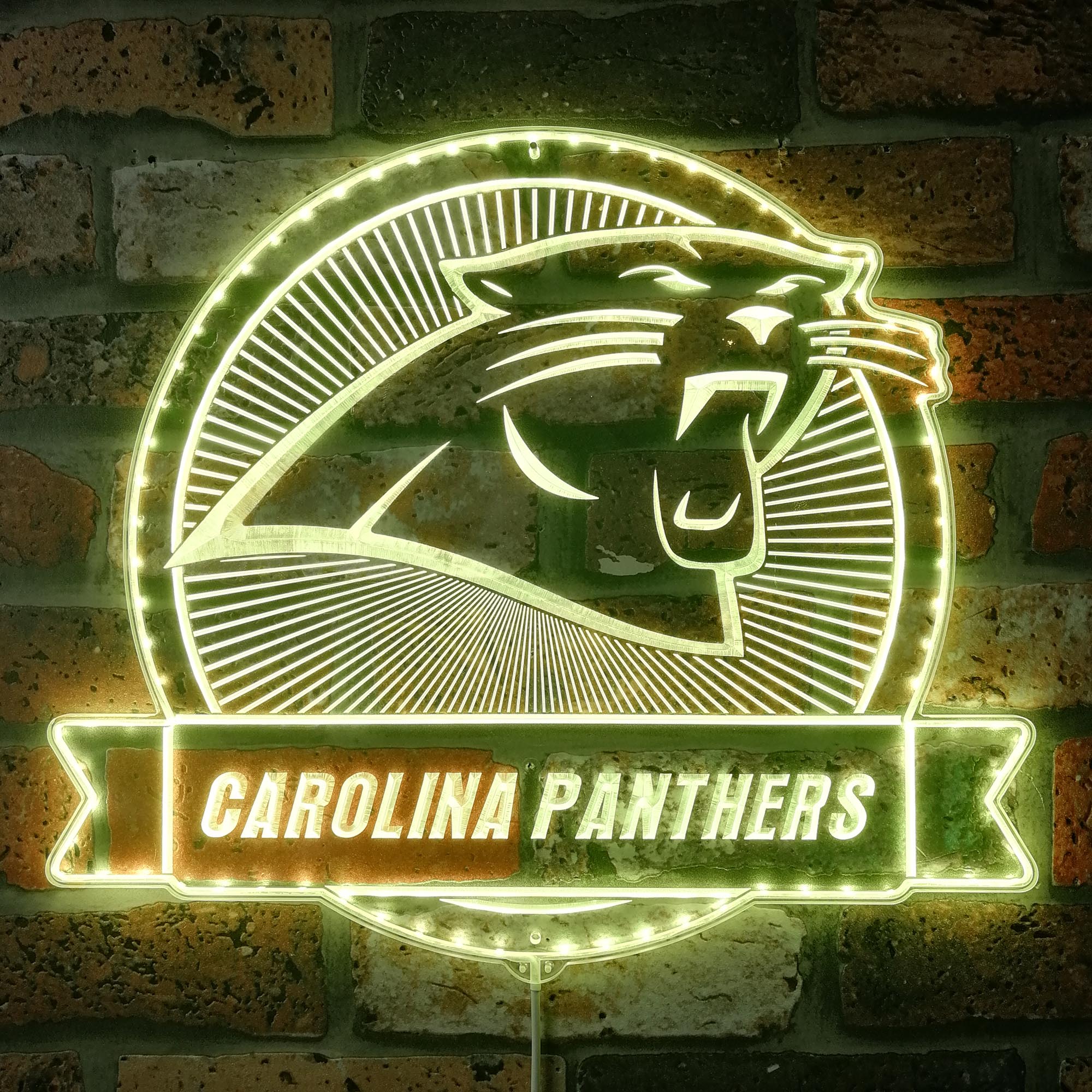 Carolina Panthers Dynamic RGB Light Neon Led Light Sign