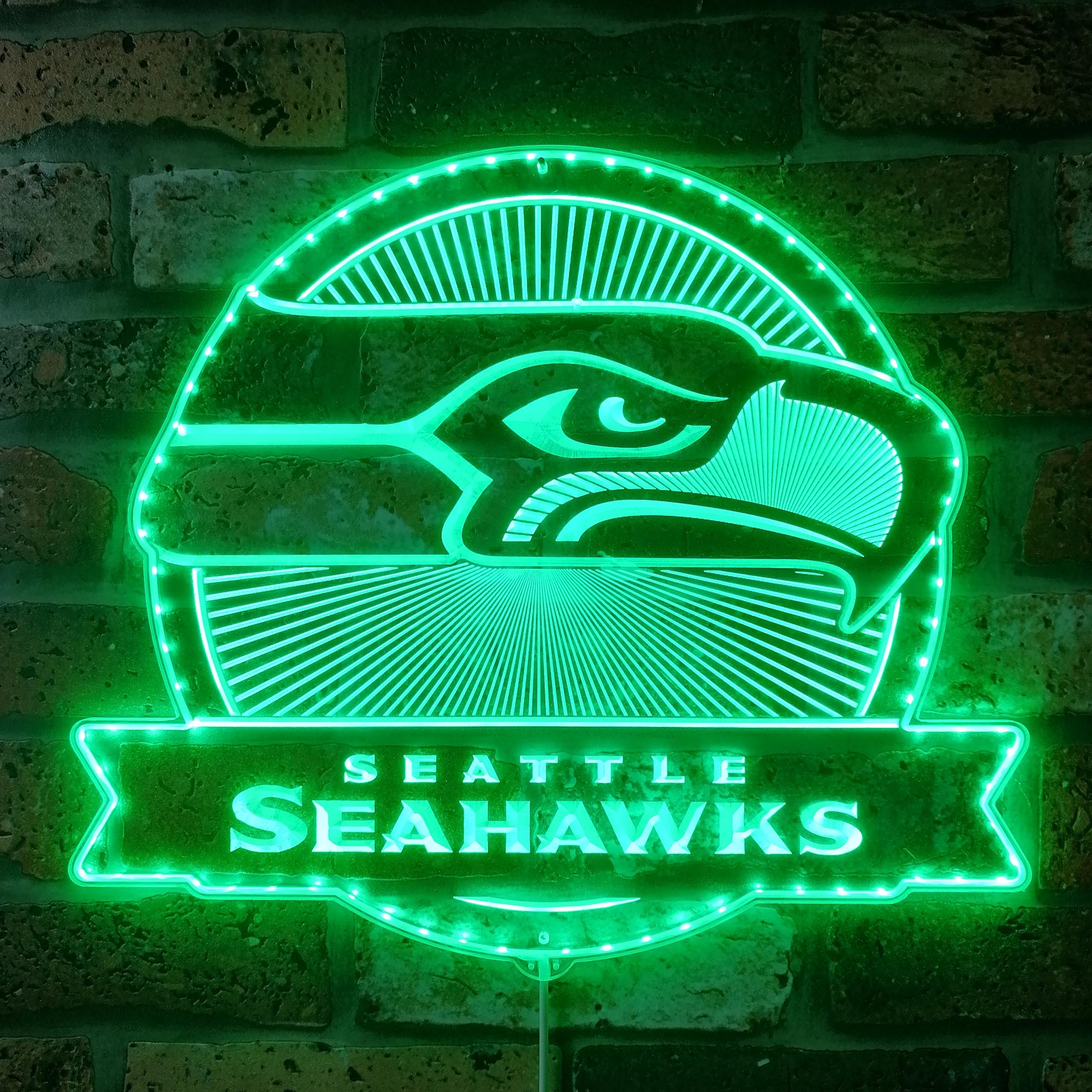 Seattle Seahawks Dynamic RGB Edge Lit LED Light Sign