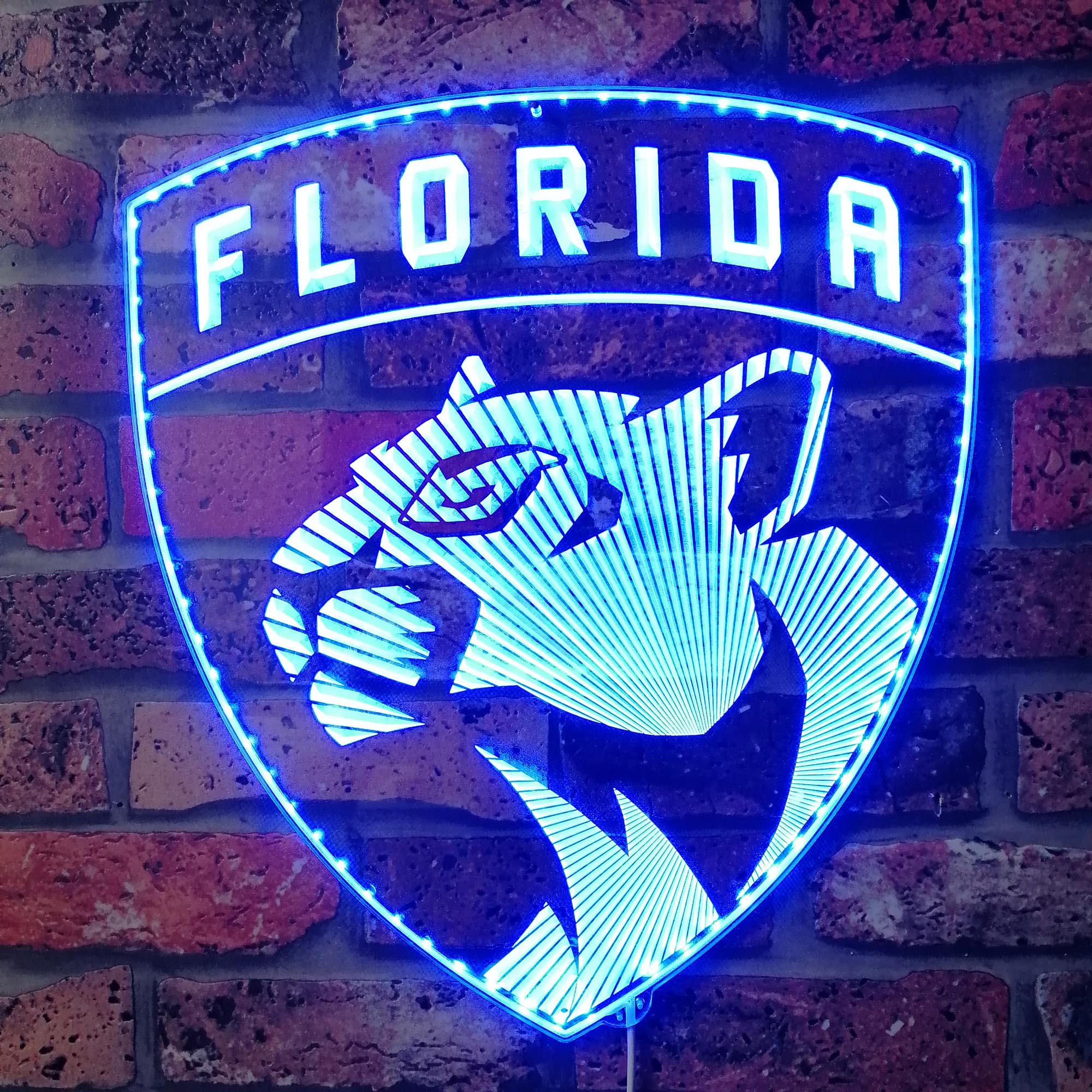Florida Signs Color Rgb Code Florida Panthers Dynamic RGB Edge Lit LED Sign | LED LAB CAVE