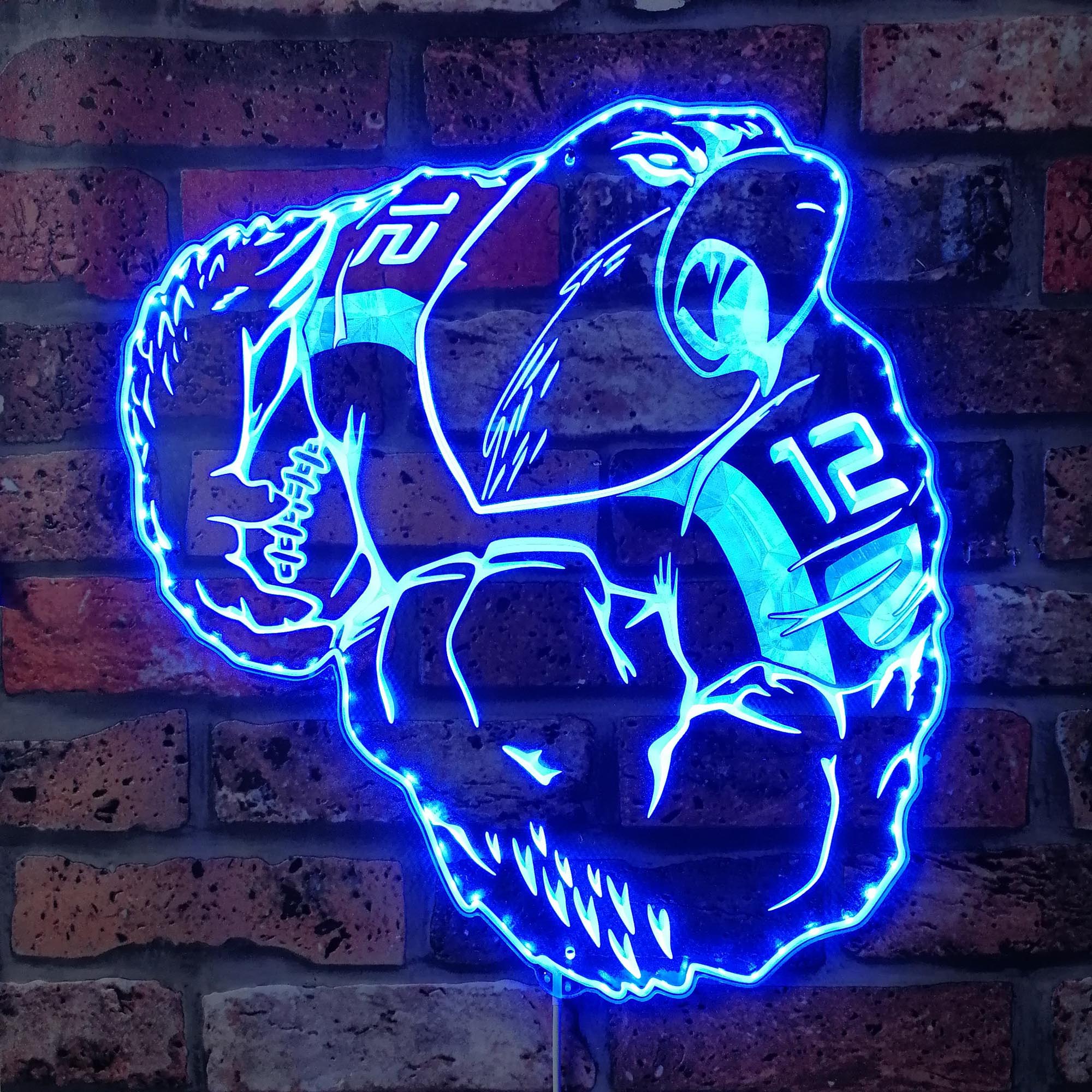 Seattle Seahawks Bardown Dynamic RGB Edge Lit LED Light Sign