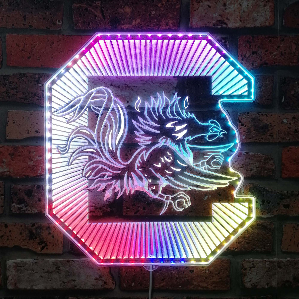 South Carolina Gamecocks Dynamic RGB Edge Lit LED Sign | PROLEDSIGN