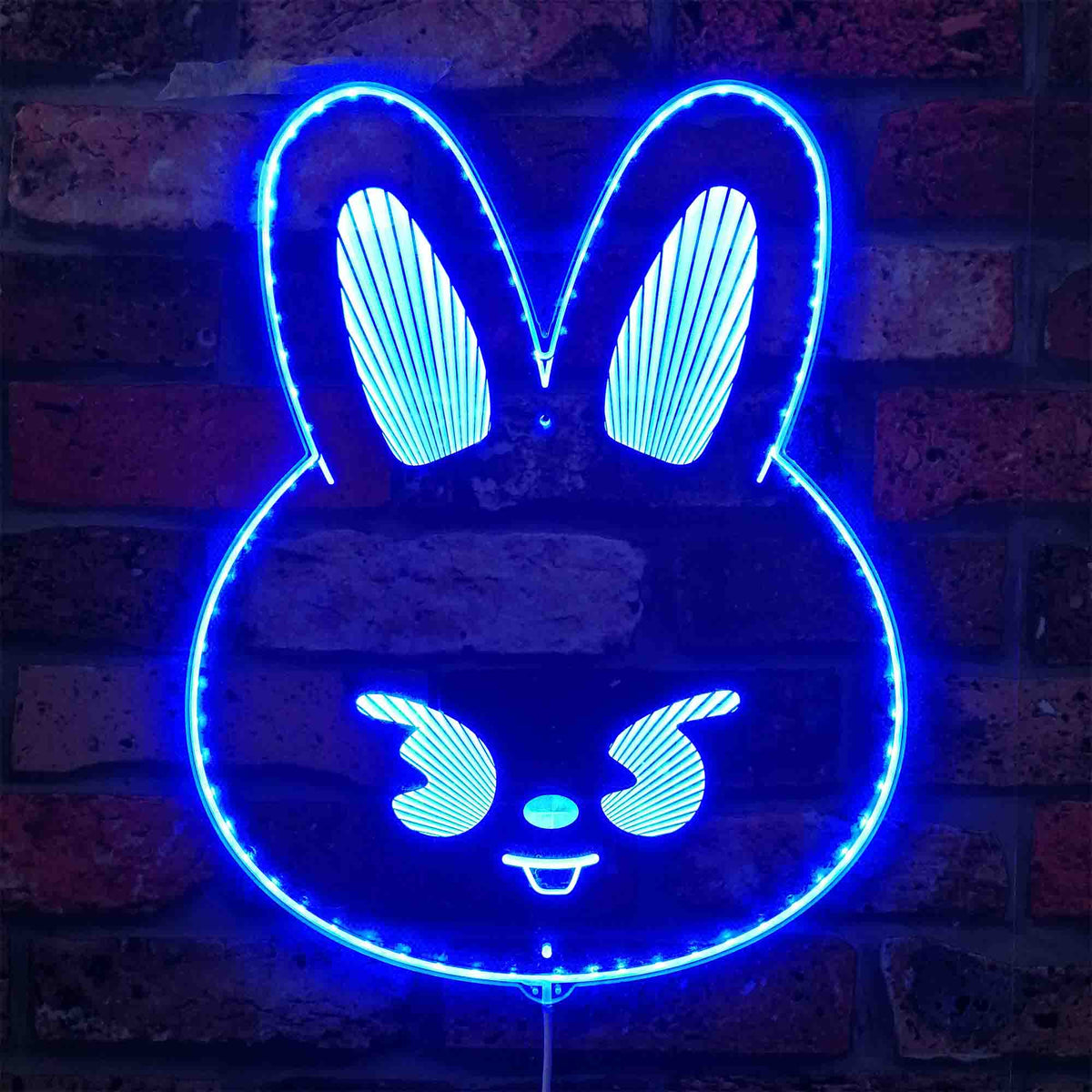 Skzoo Leebit Dynamic RGB Edge Lit LED Sign | PROLEDSIGN