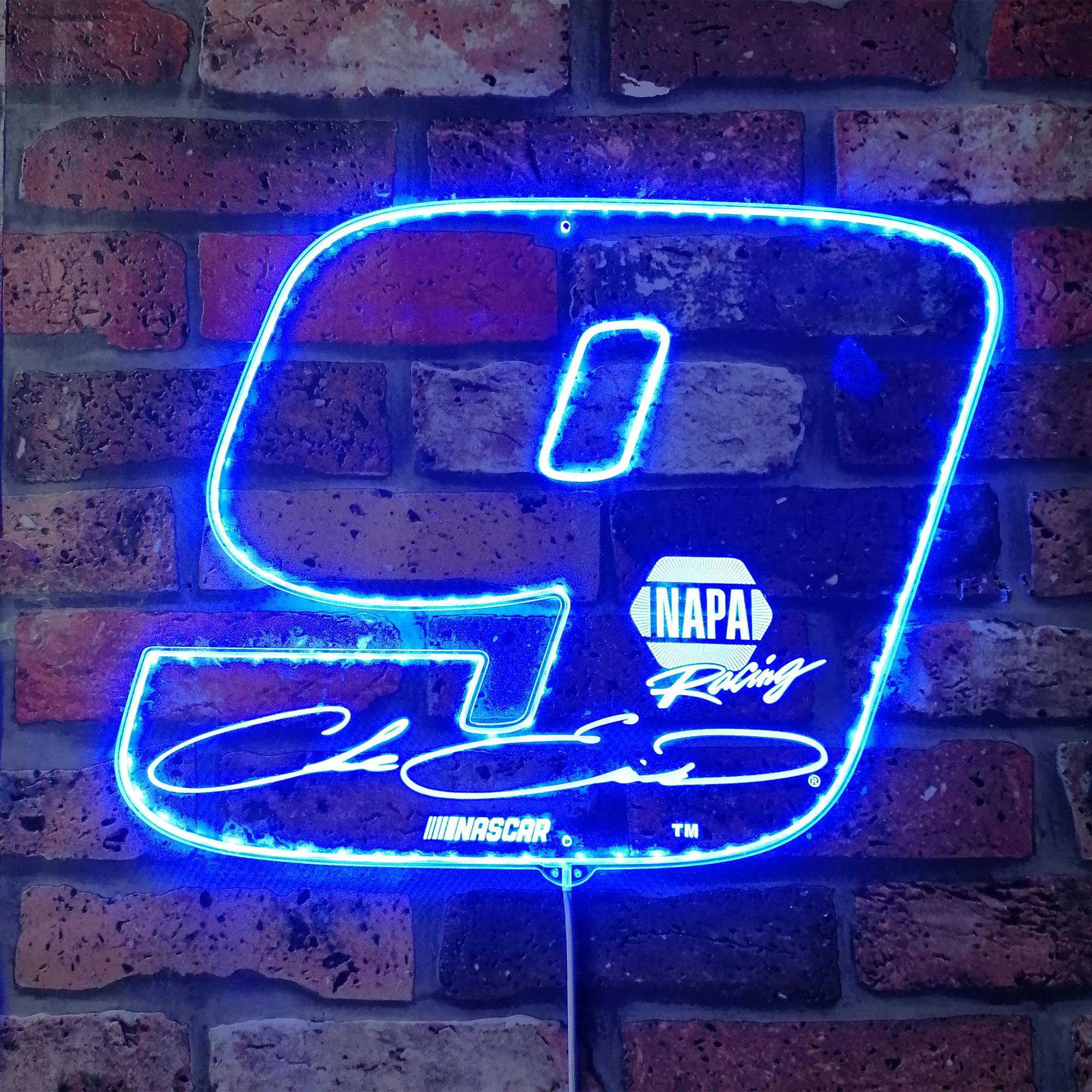 Chase Elliott #9 Large Number Dynamic RGB Edge Lit LED Sign