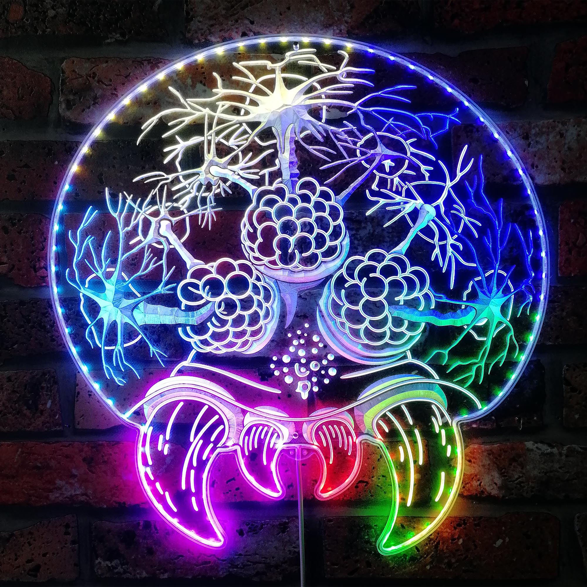 Brain of Cthulhu Dynamic RGB Edge Lit LED Sign