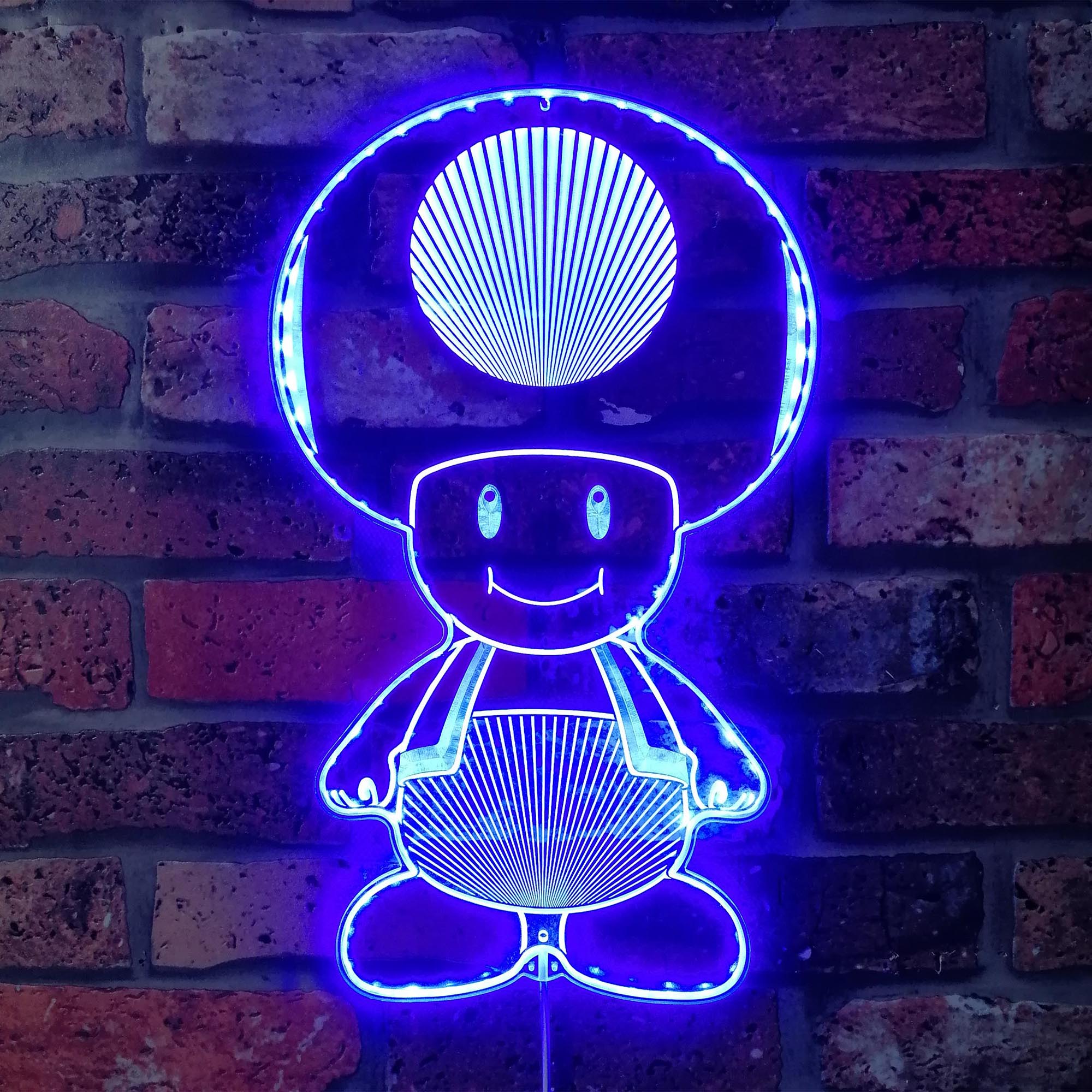 Super Mario Mushroom Toad Dynamic RGB Edge Lit LED Sign