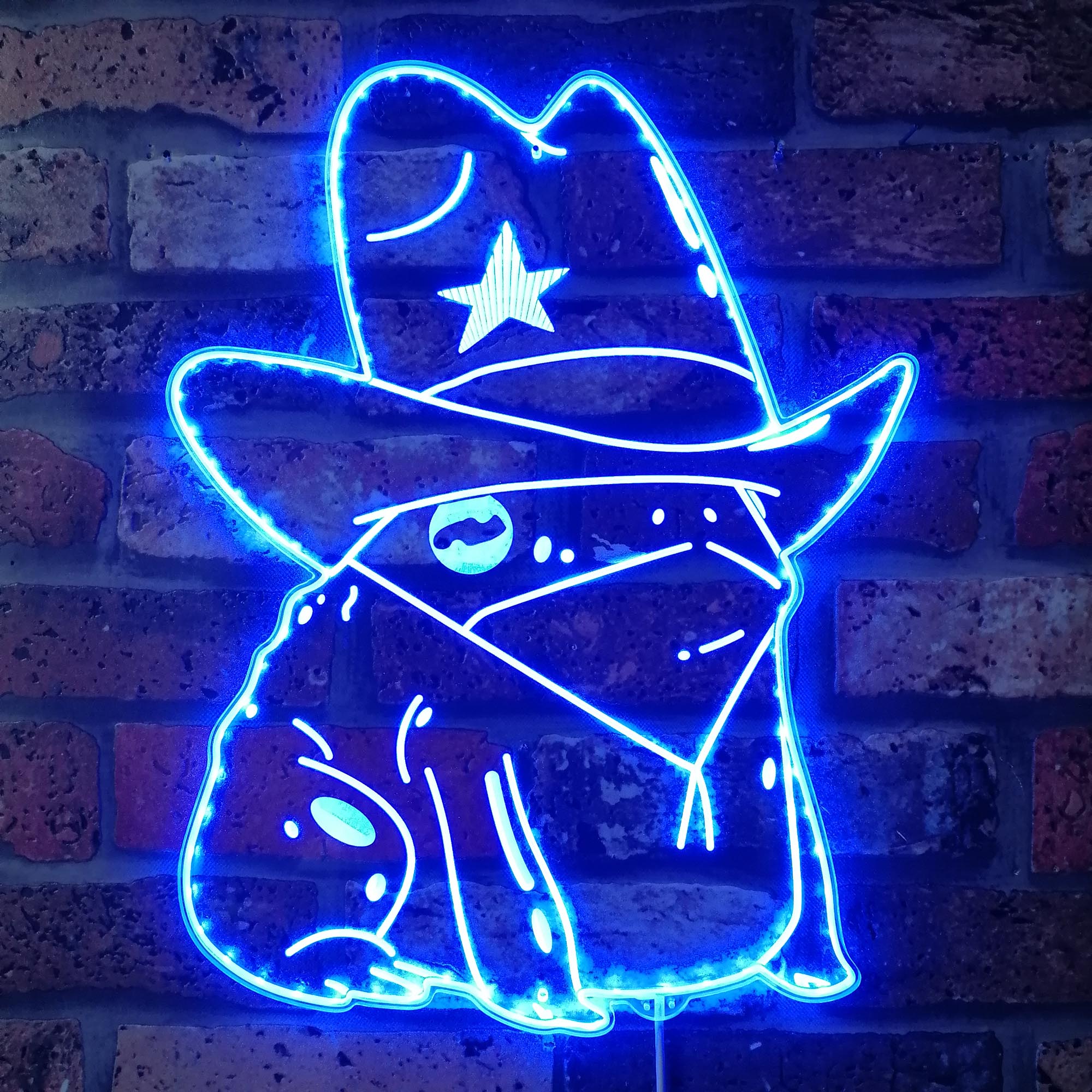 Cowgirl Frog Dynamic RGB Edge Lit LED Sign