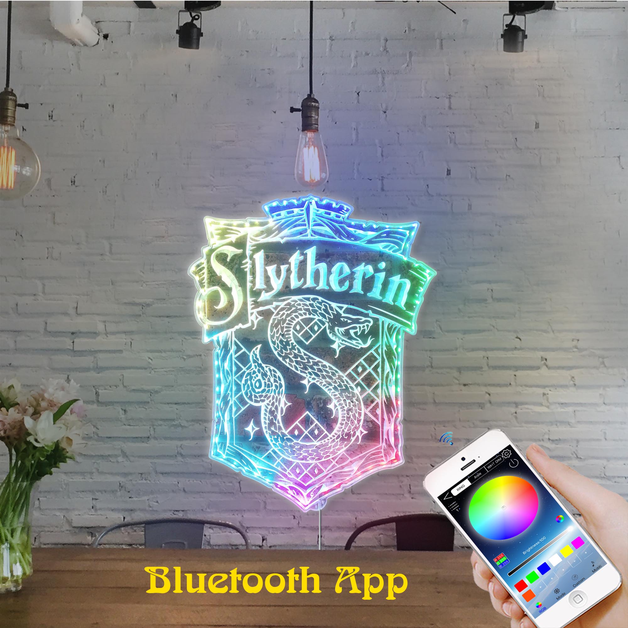 Harry Potter Slytherin Dynamic RGB Edge Lit LED Sign