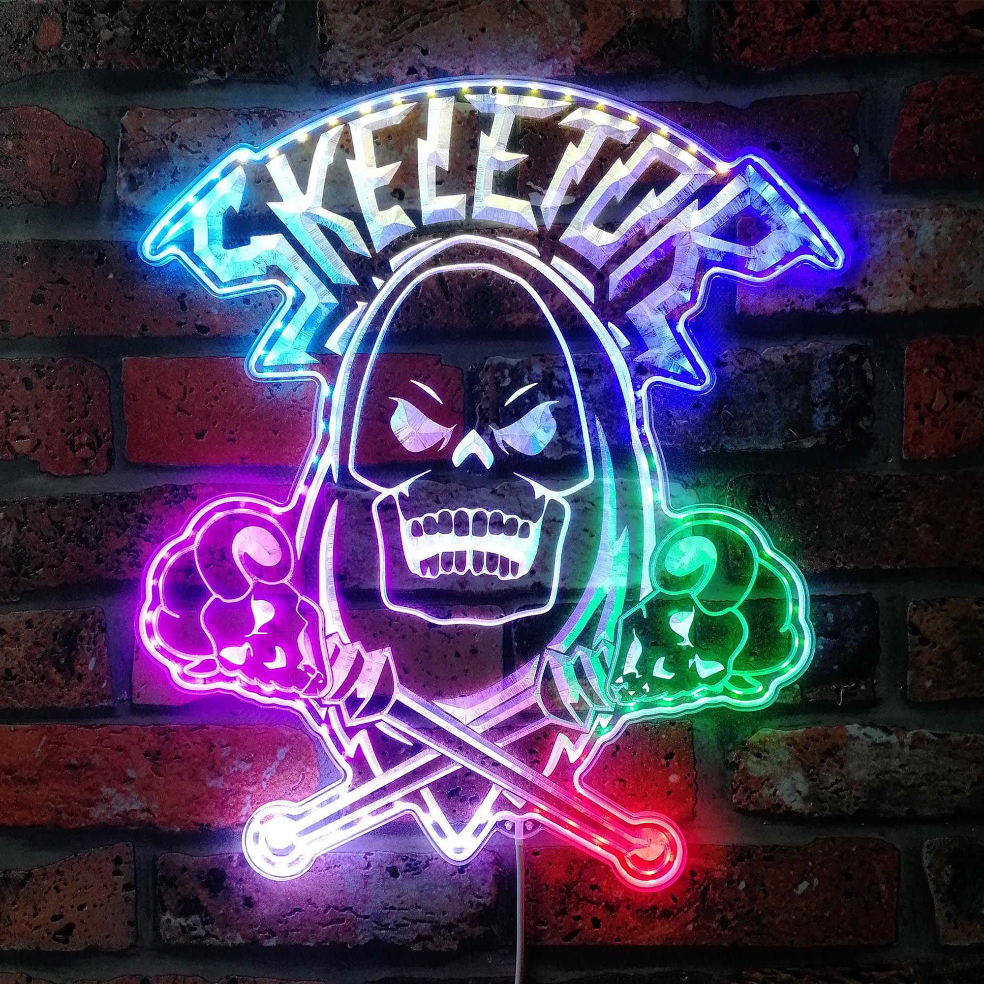 He-Man Skeletor Dynamic RGB Edge Lit LED Sign