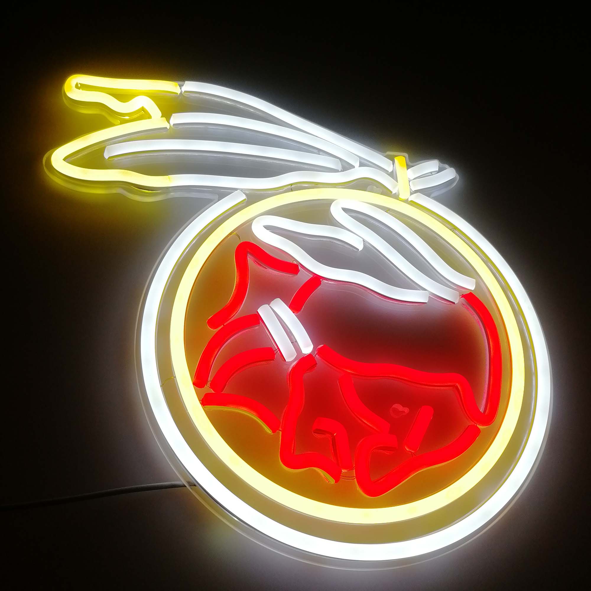 NFL Washington Football Team Flex Neon-like LED Sign