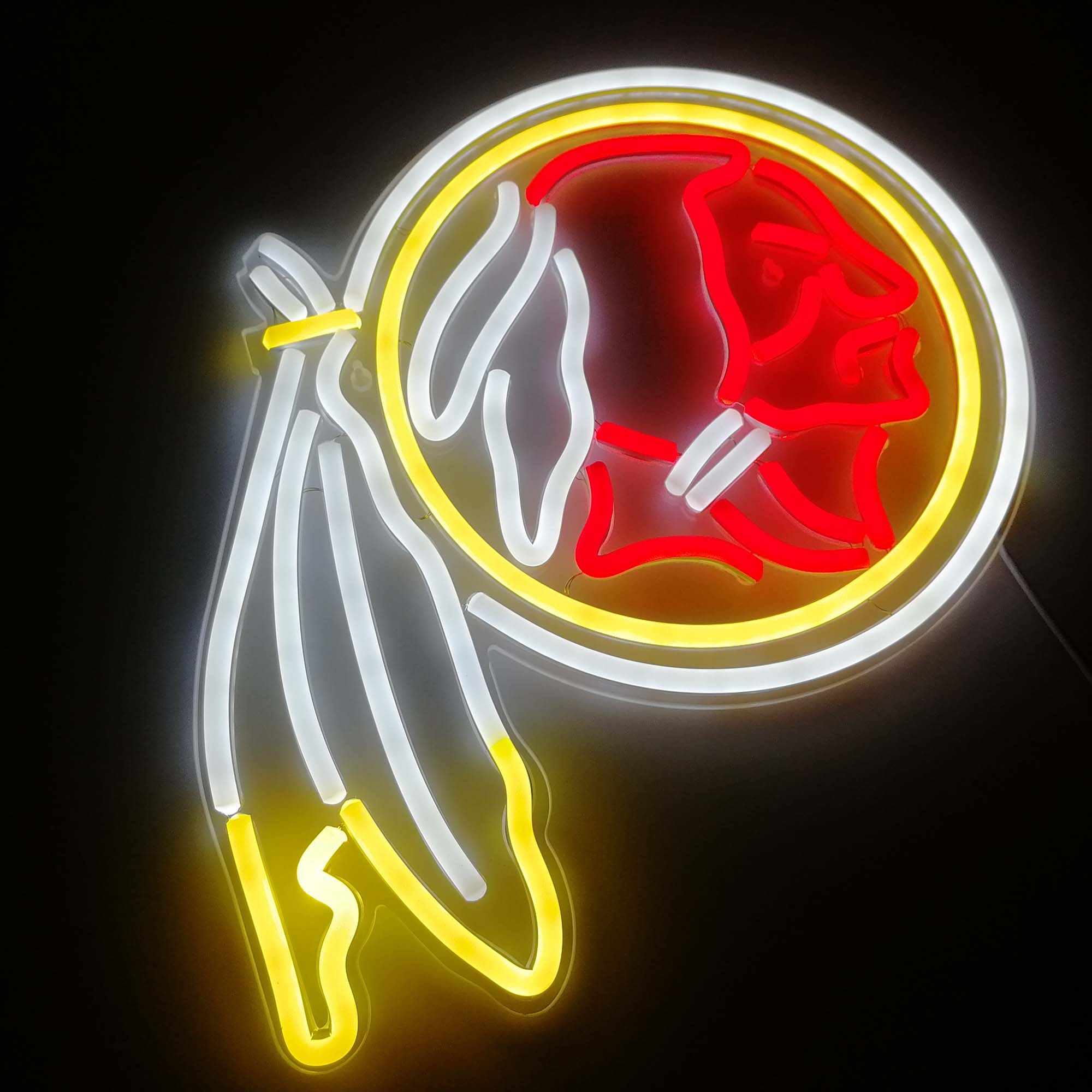 NFL Washington Football Team Flex Neon-like LED Sign