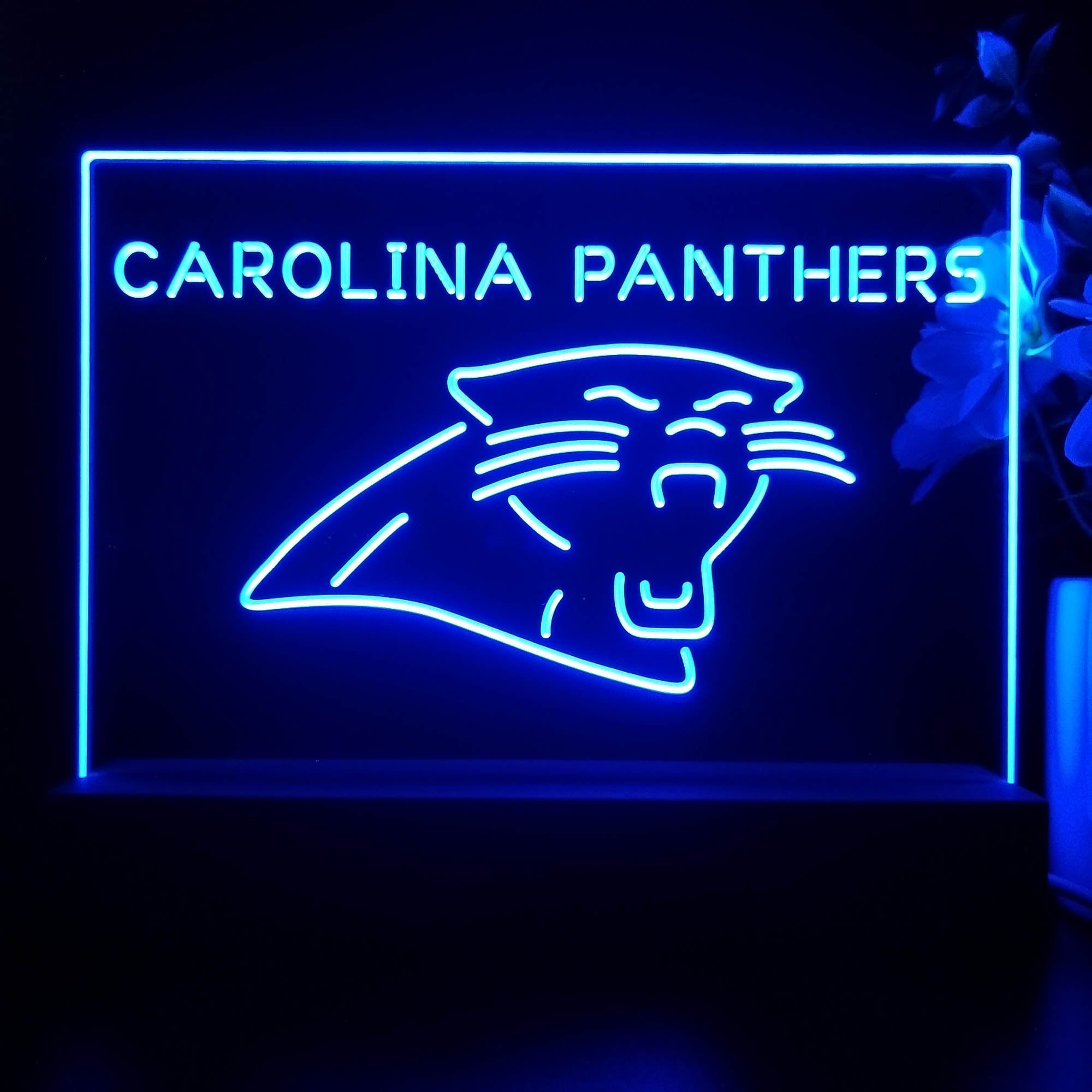 Carolina Panthers  Neon Sign Pub Bar Lamp