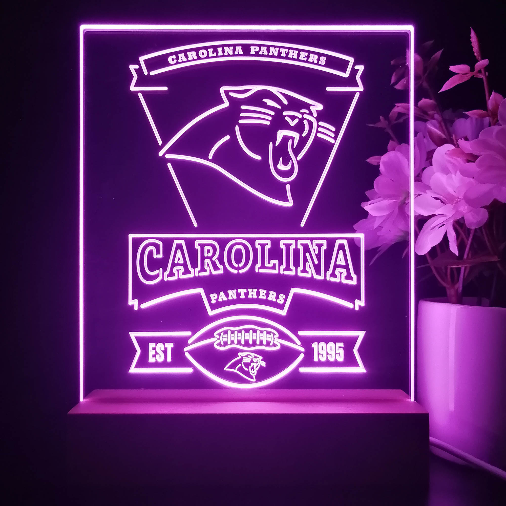 Carolina Panthers Souvenir Neon Sign Pub Bar Lamp