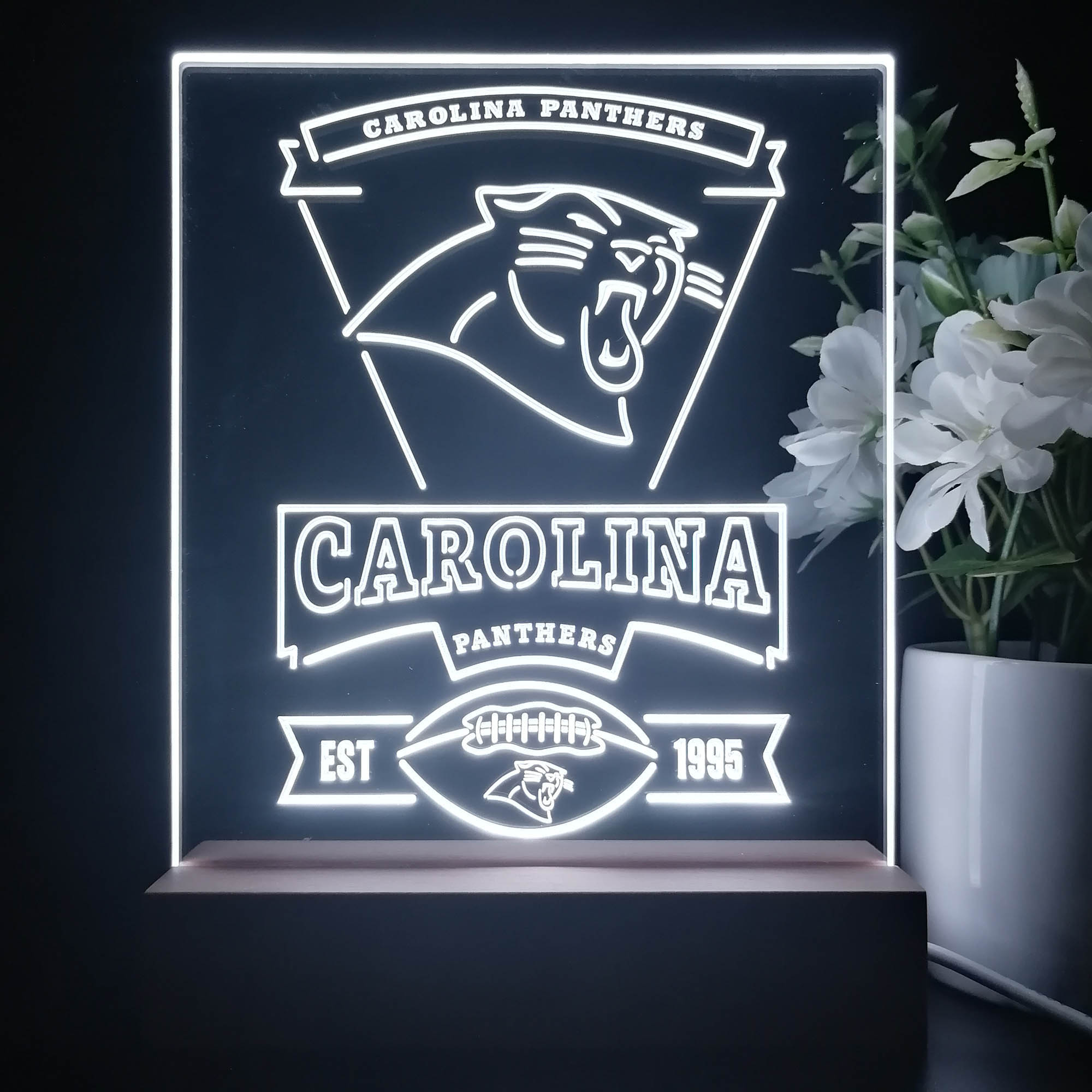 Carolina Panthers Souvenir Neon Sign Pub Bar Lamp