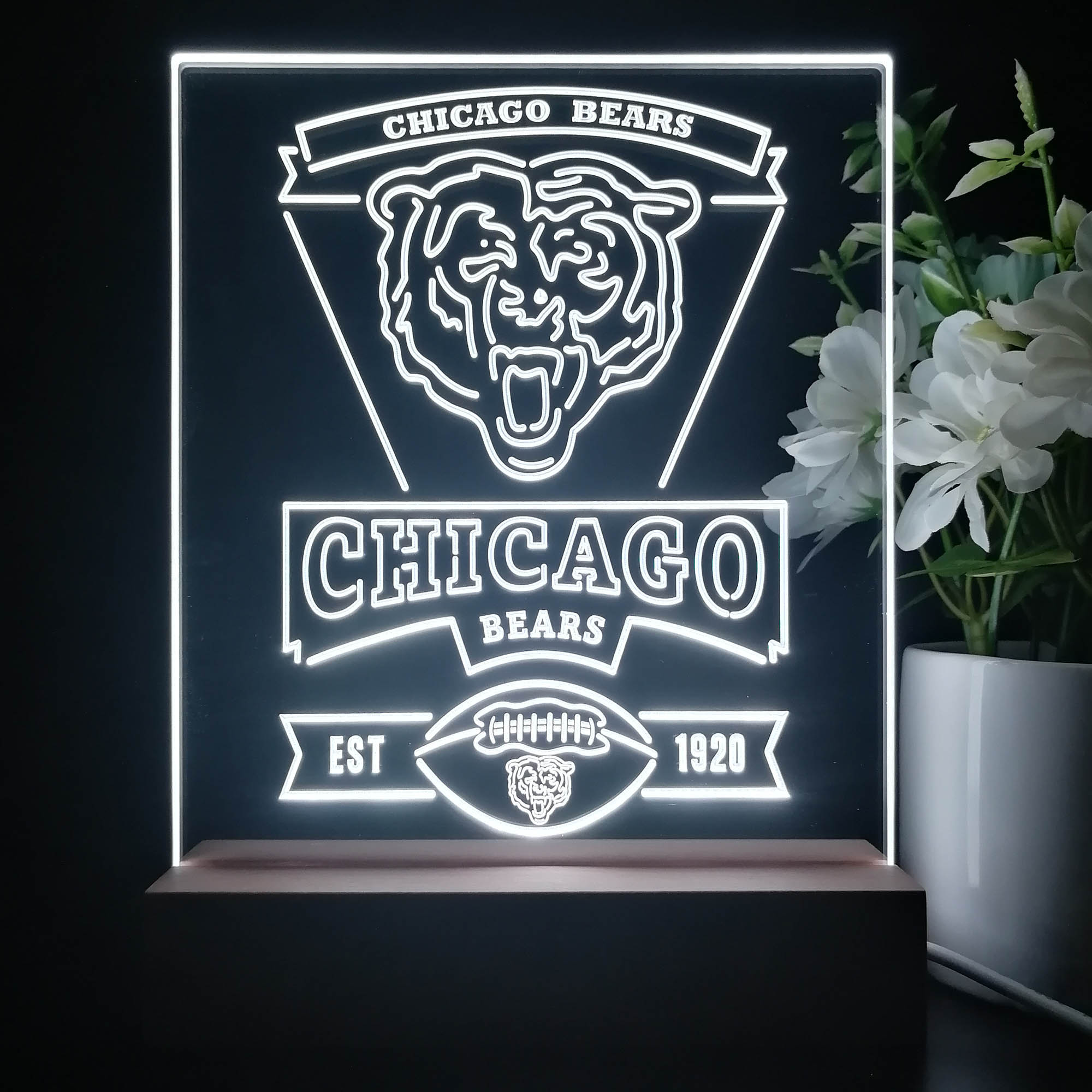 Chicago Bears Souvenir Neon Sign Pub Bar Lamp