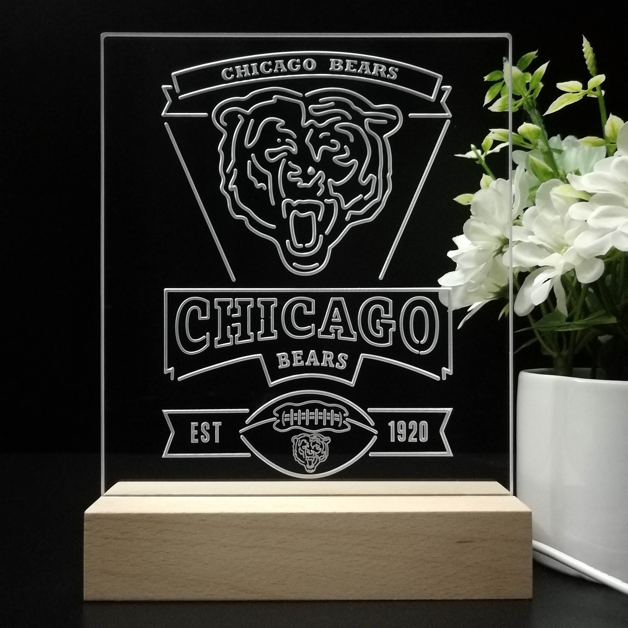 Chicago Bears Souvenir Neon Sign Pub Bar Lamp