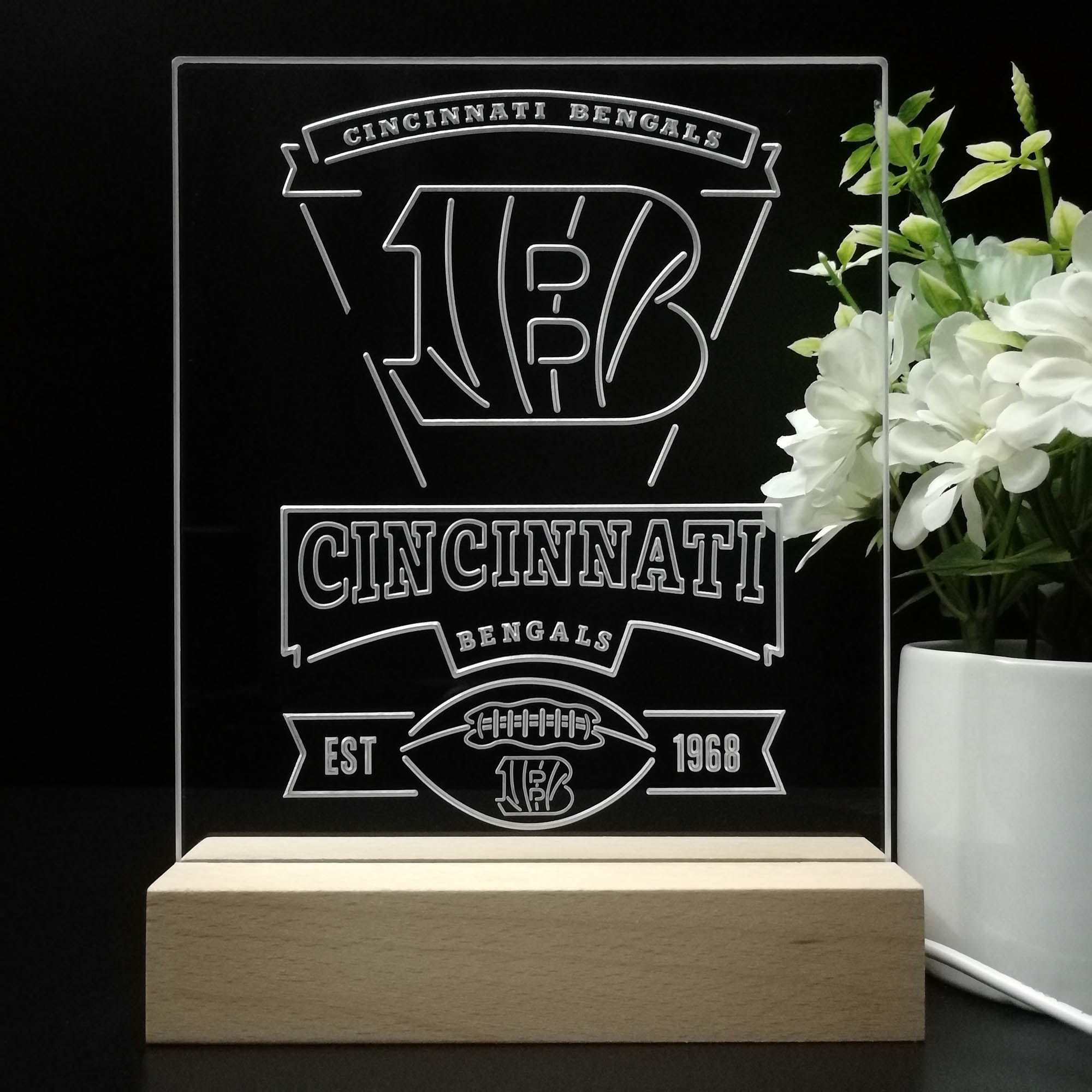 Cincinnati Bengals Souvenir Neon Sign Pub Bar Lamp