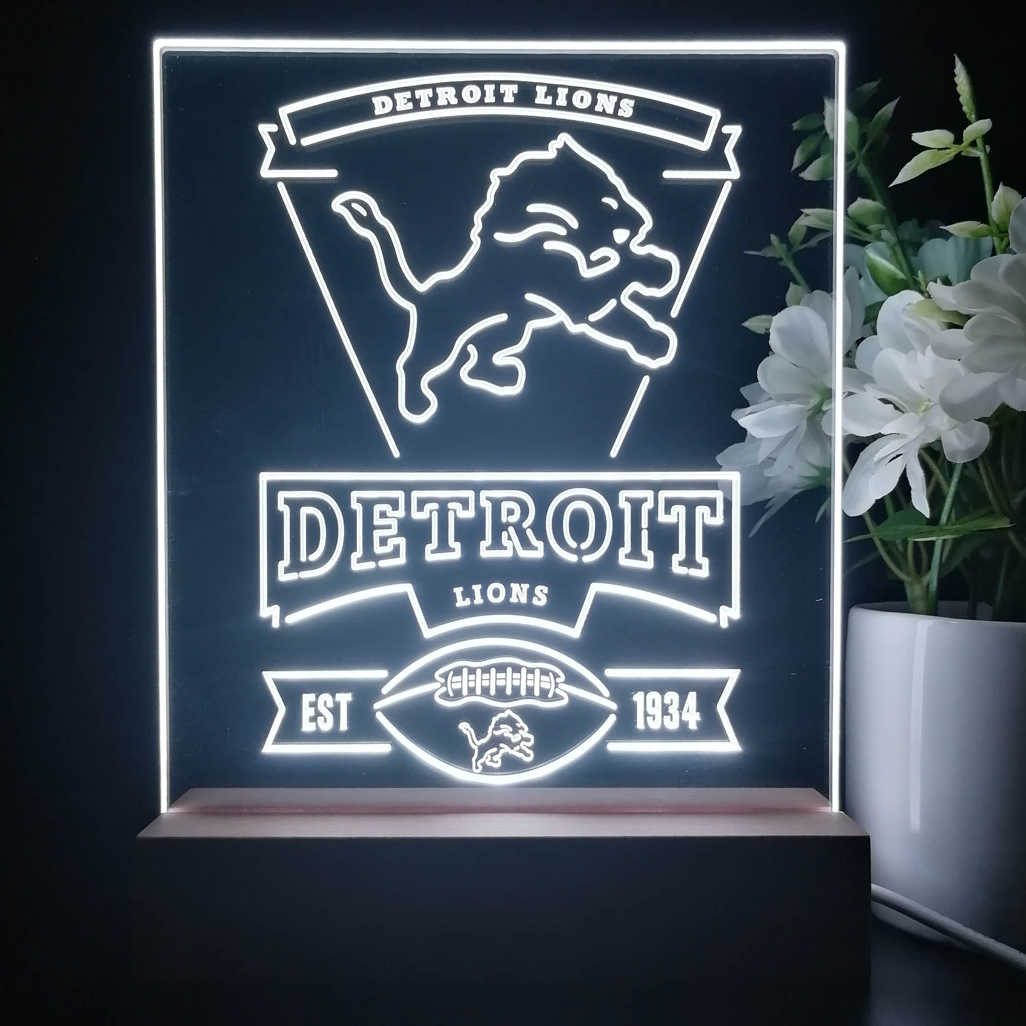 Detroit Lions Souvenir Neon Sign Pub Bar Lamp