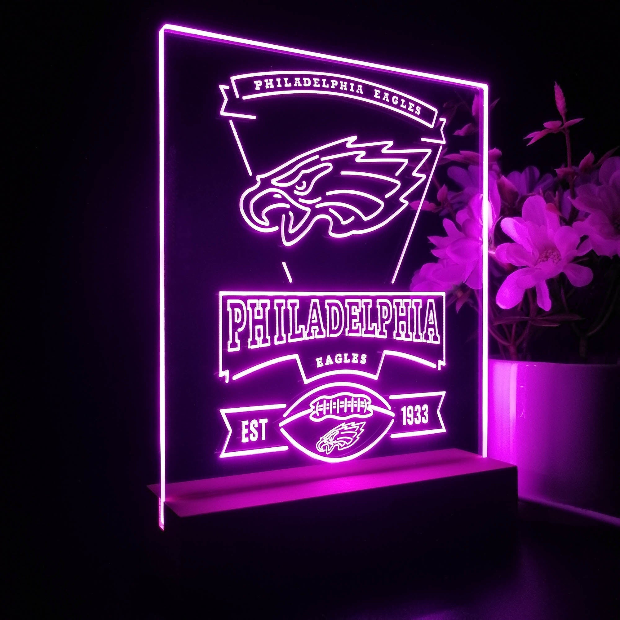 Philadelphia Eagles Neon Sign Pub Bar Lamp