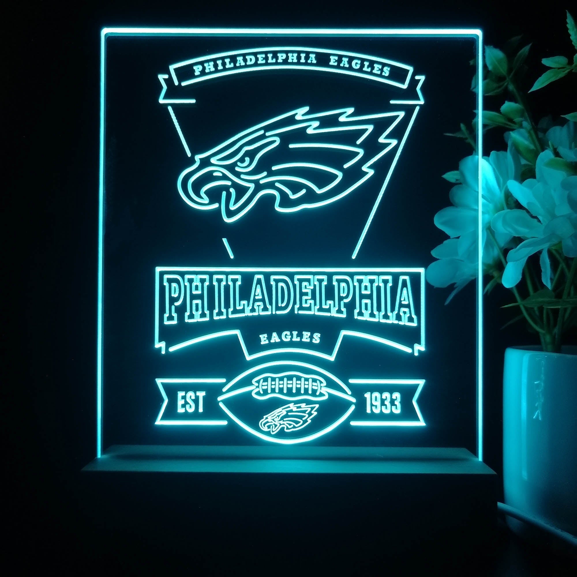 Philadelphia Eagles Neon Sign Pub Bar Lamp