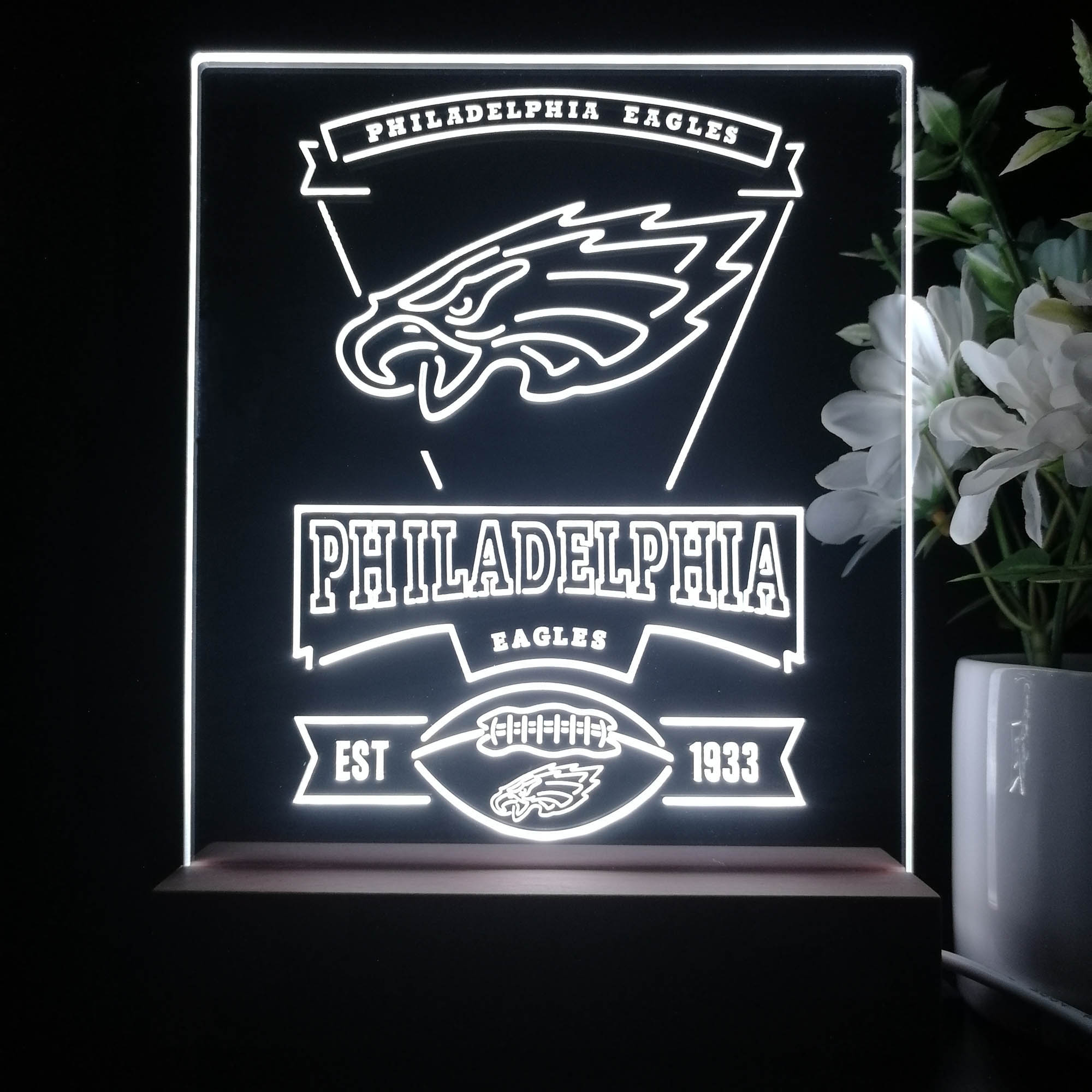 Philadelphia Eagles Neon Sign Pub Bar Lamp