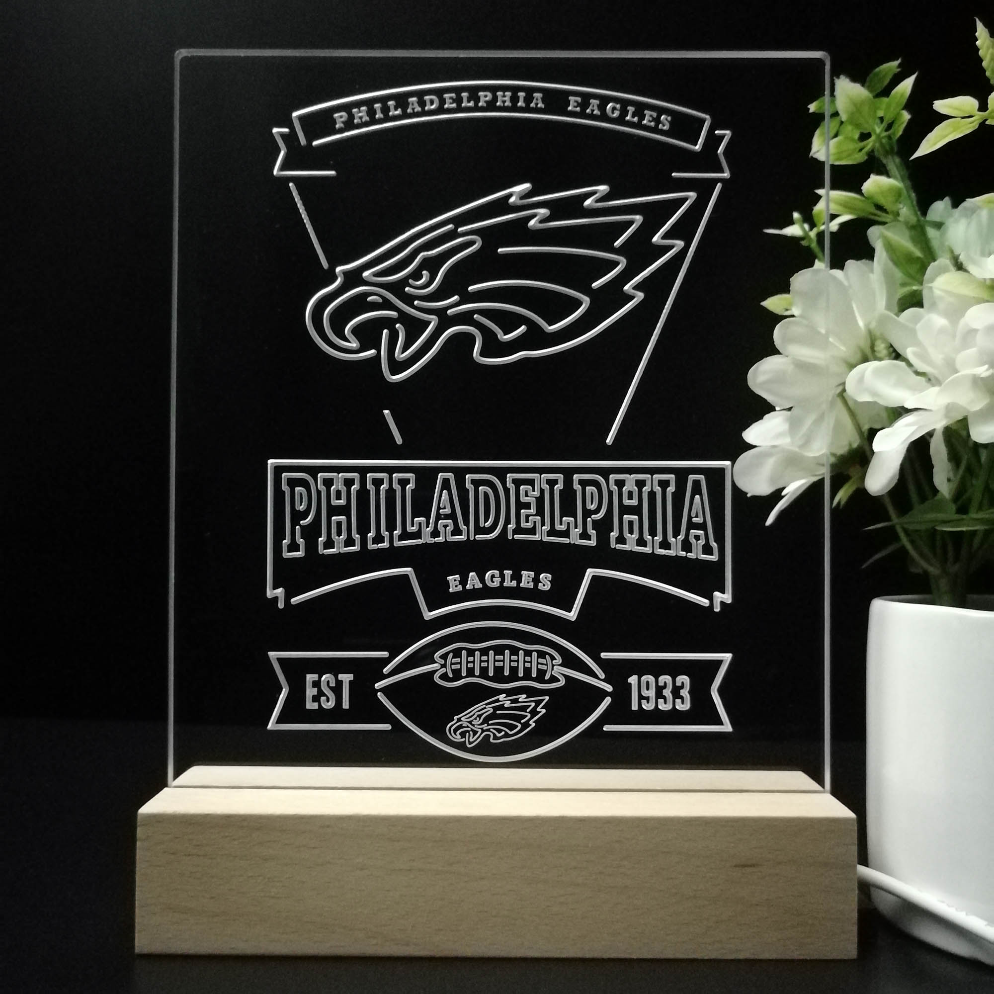 Philadelphia Eagles Neon Sign Pub Bar Lamp