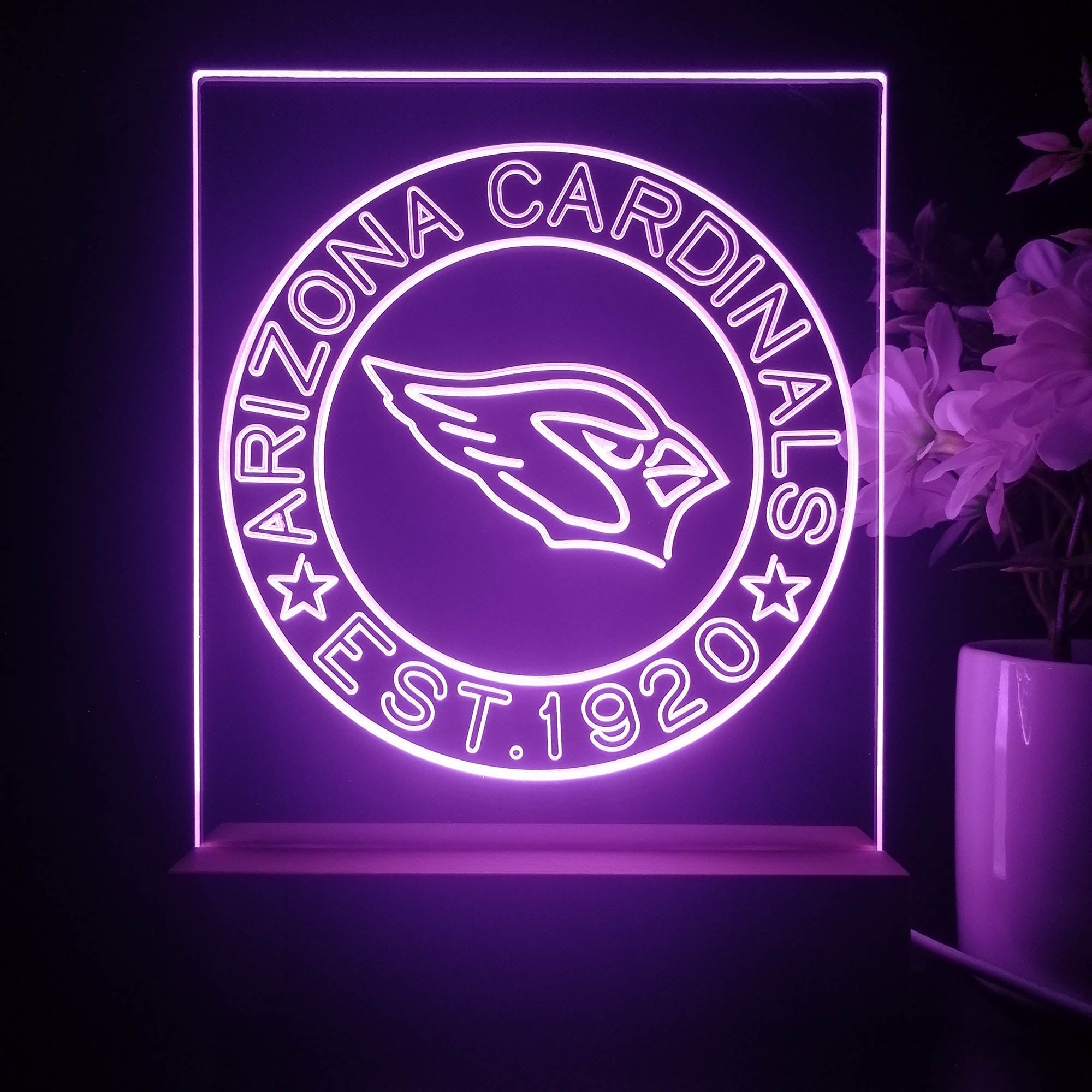 Personalized Arizona Cardinals Souvenir Neon LED Night Light Sign