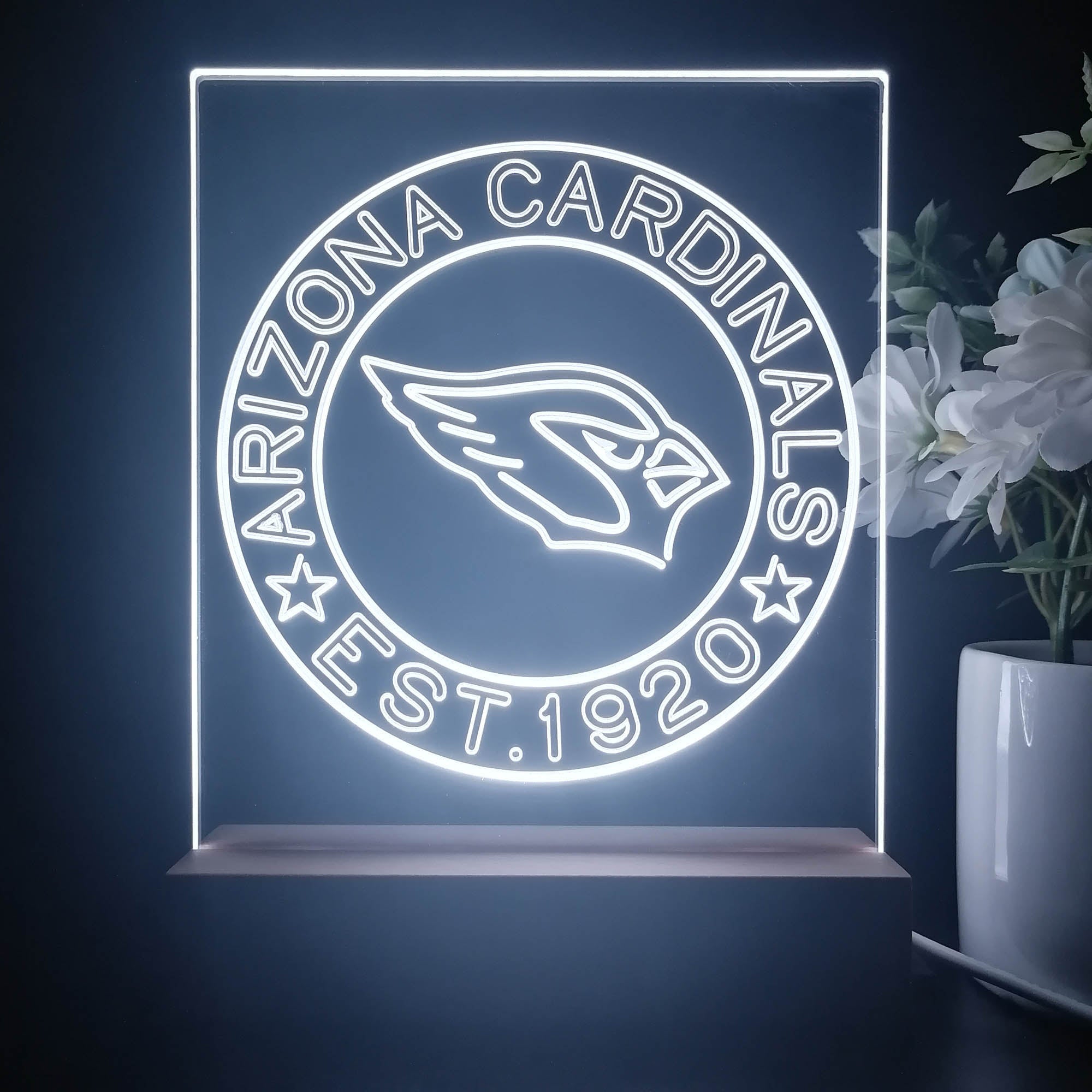 Personalized Arizona Cardinals Souvenir Neon LED Night Light Sign