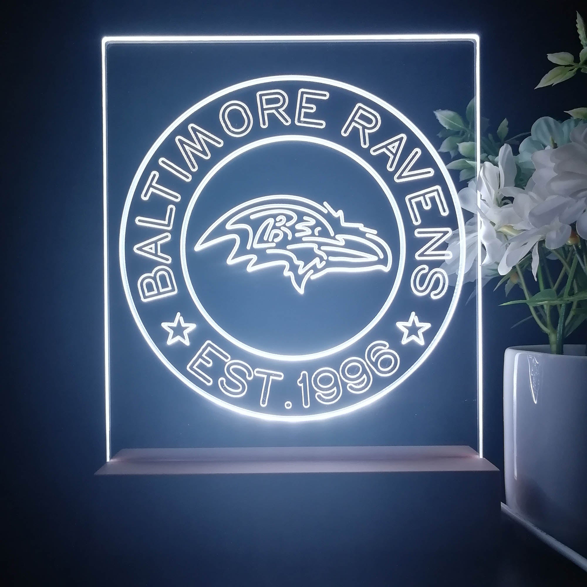 Personalized Baltimore Ravens Souvenir Neon LED Night Light Sign