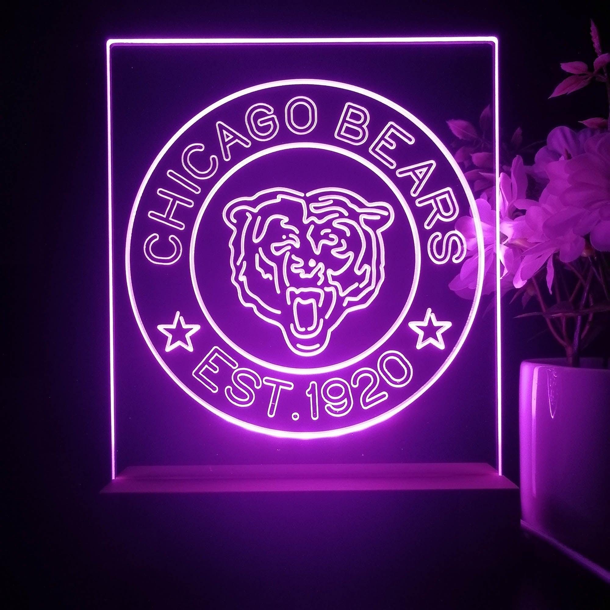 Personalized Chicago Bears Souvenir Neon LED Night Light Sign