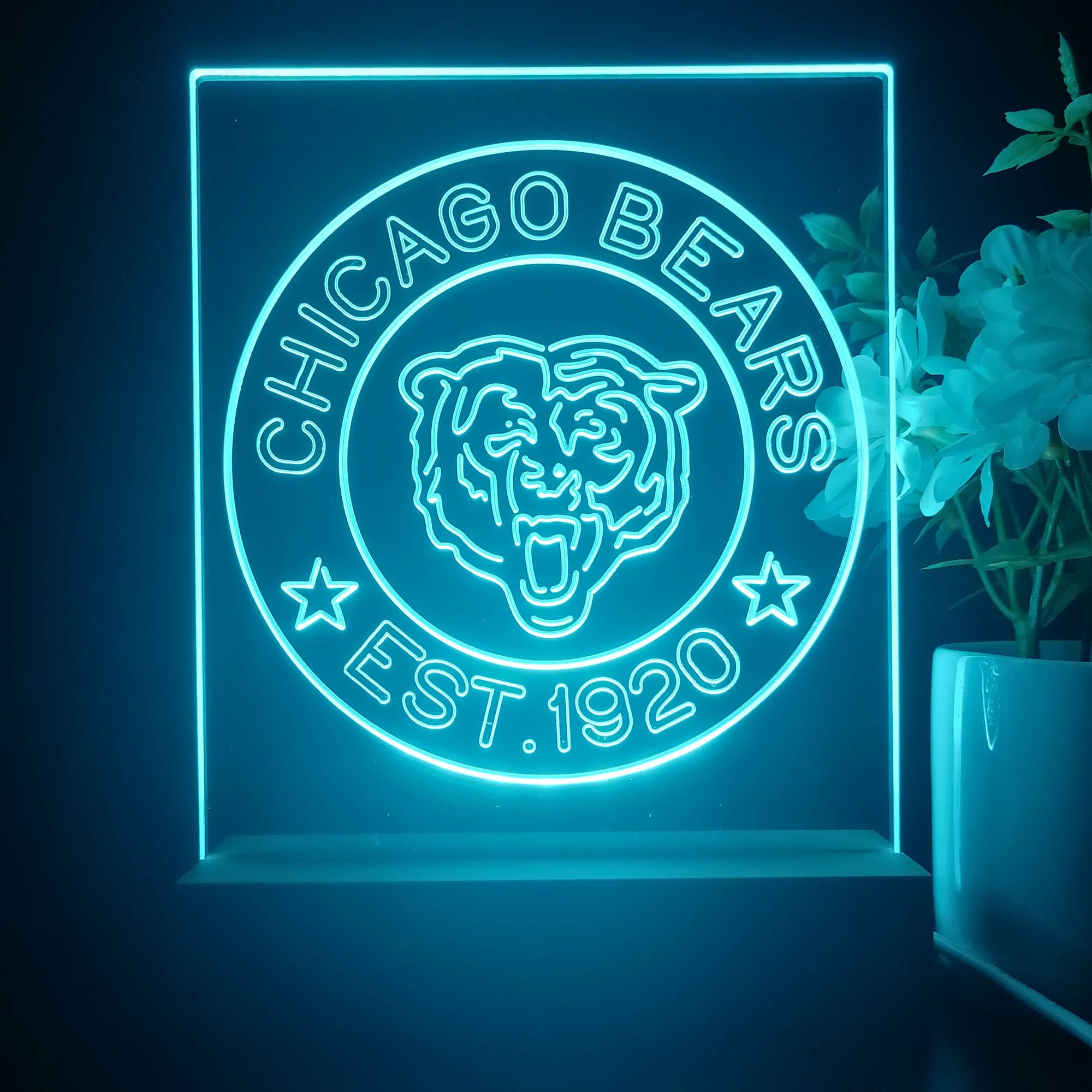 Personalized Chicago Bears Souvenir Neon LED Night Light Sign