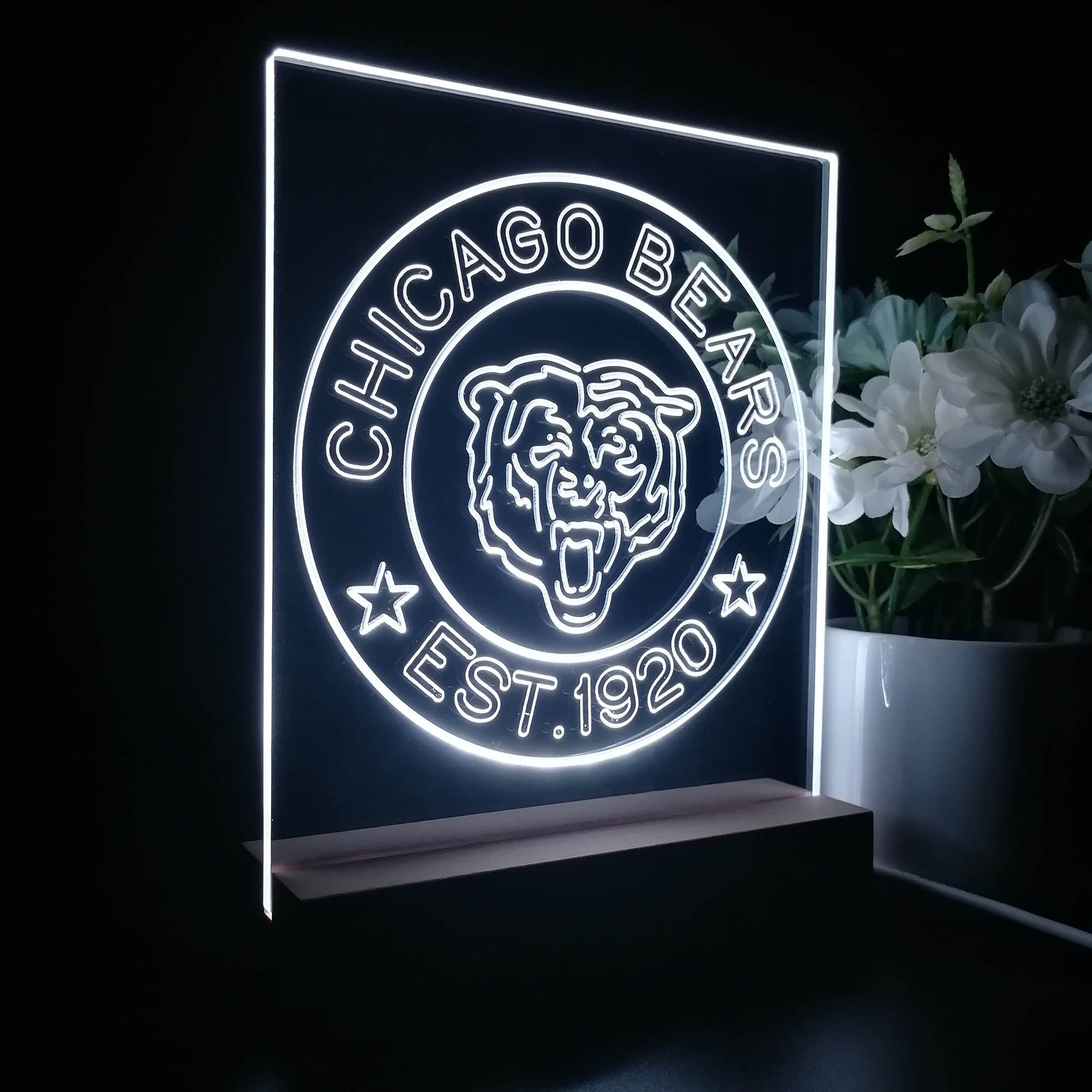 Personalized Chicago Bears Souvenir Neon LED Night Light Sign