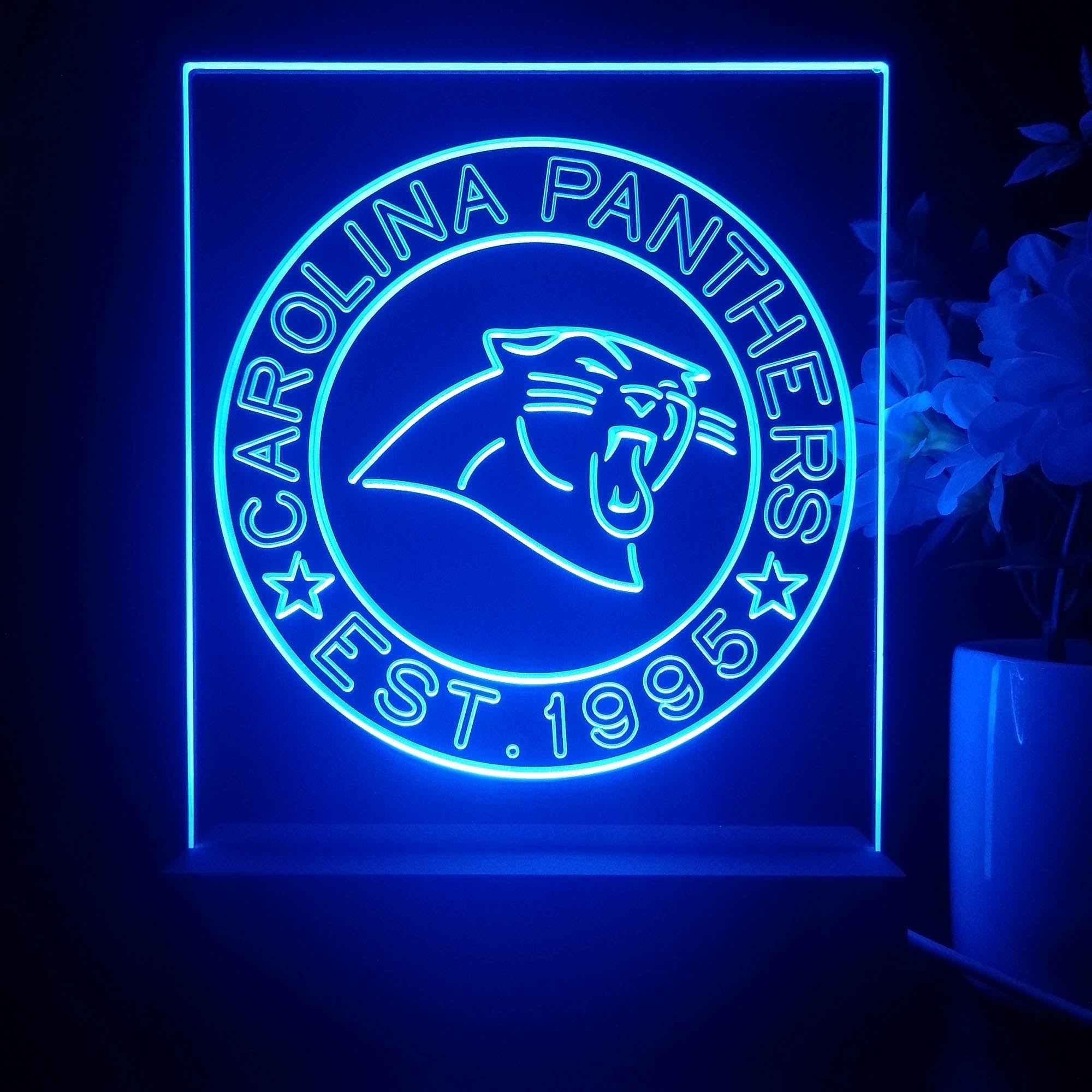 Personalized Carolina Panthers Souvenir Neon LED Night Light Sign