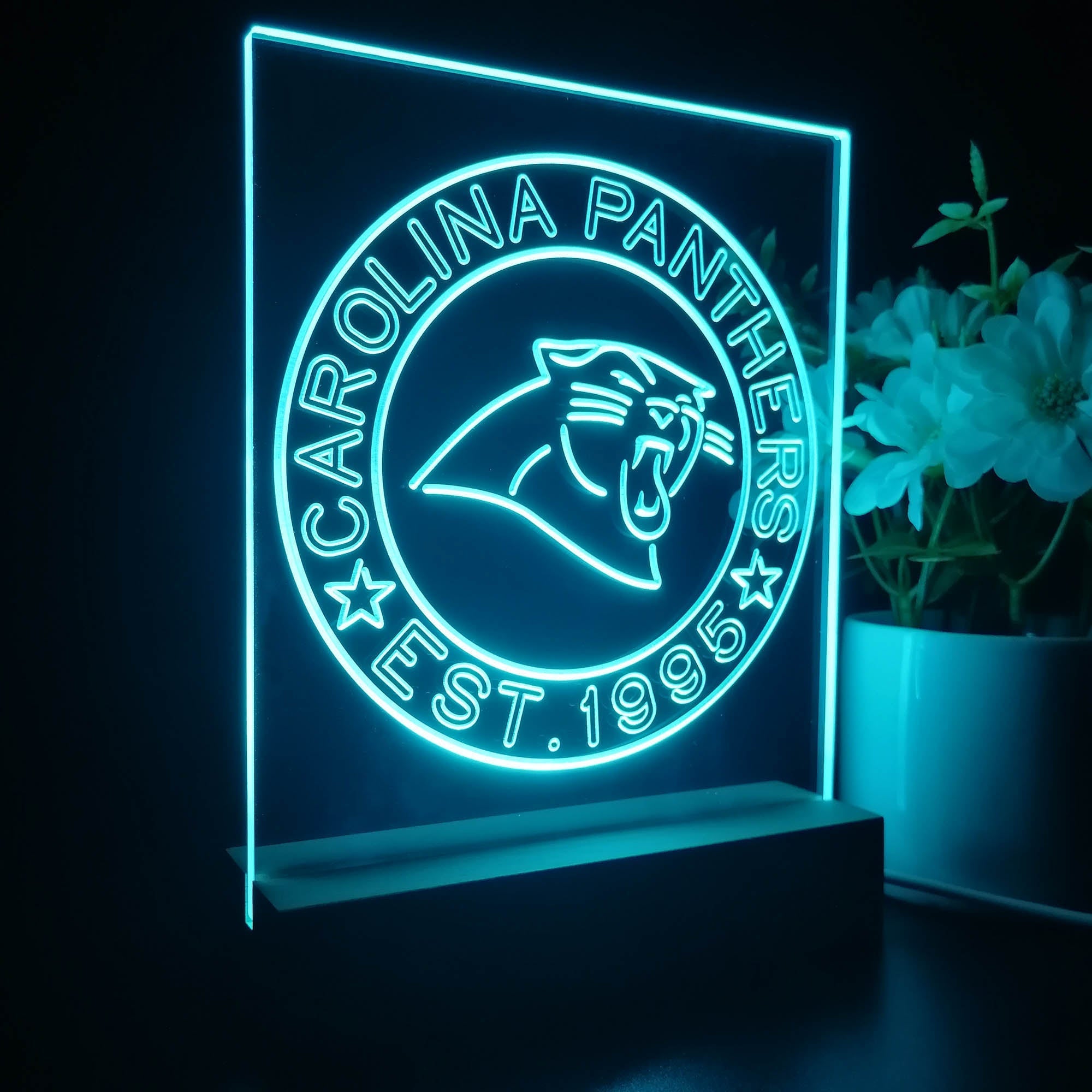 Personalized Carolina Panthers Souvenir Neon LED Night Light Sign