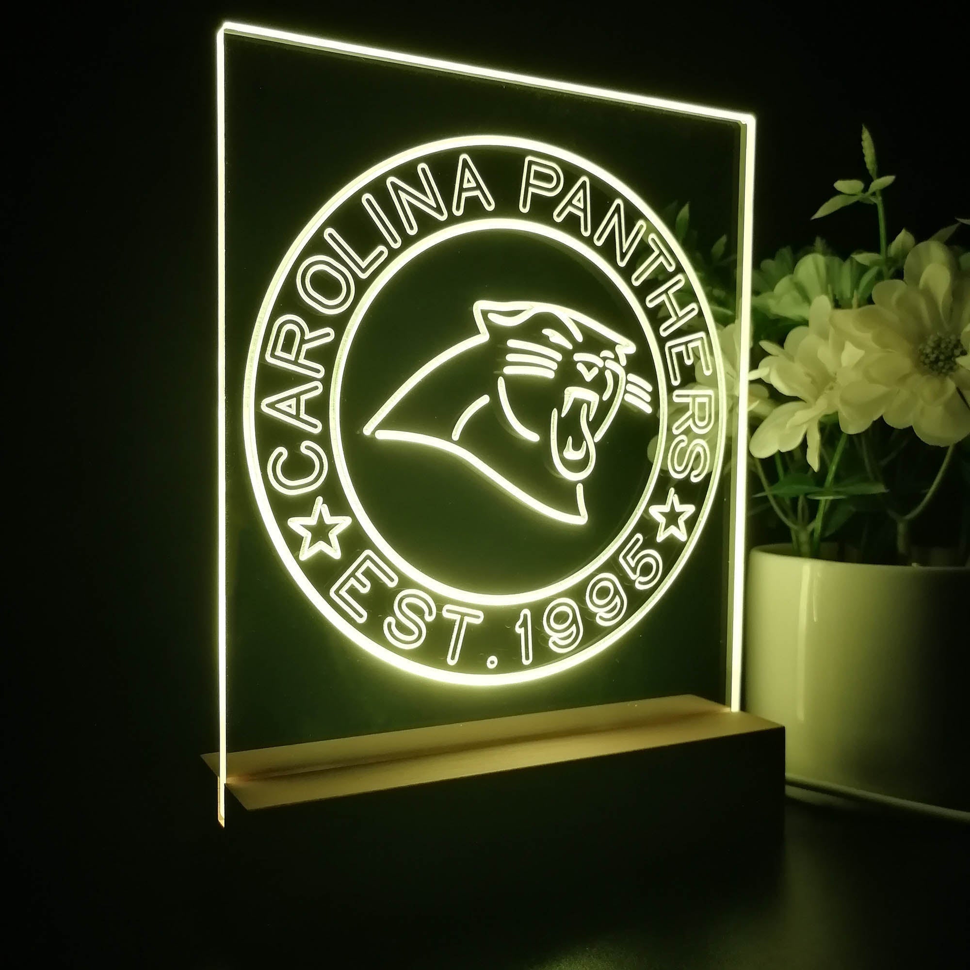 Personalized Carolina Panthers Souvenir Neon LED Night Light Sign