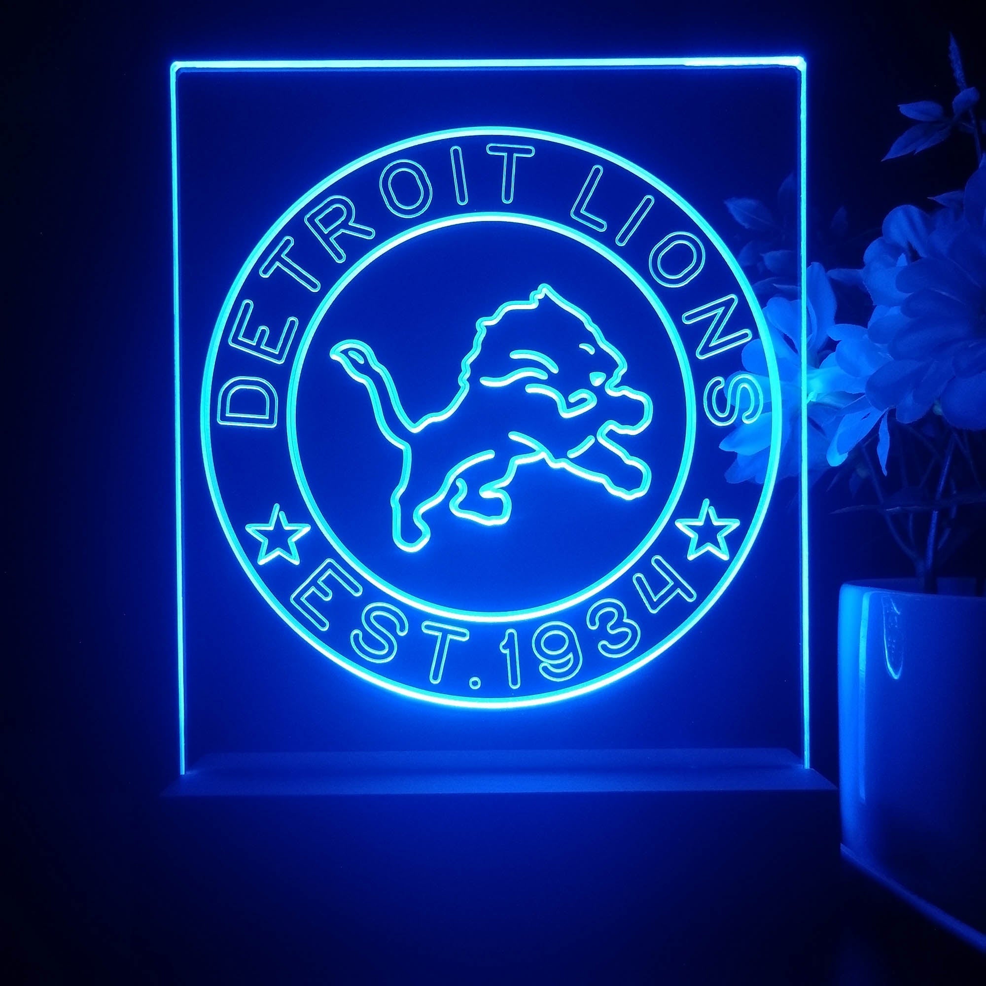 Personalized Detroit Lions Souvenir Neon LED Night Light Sign