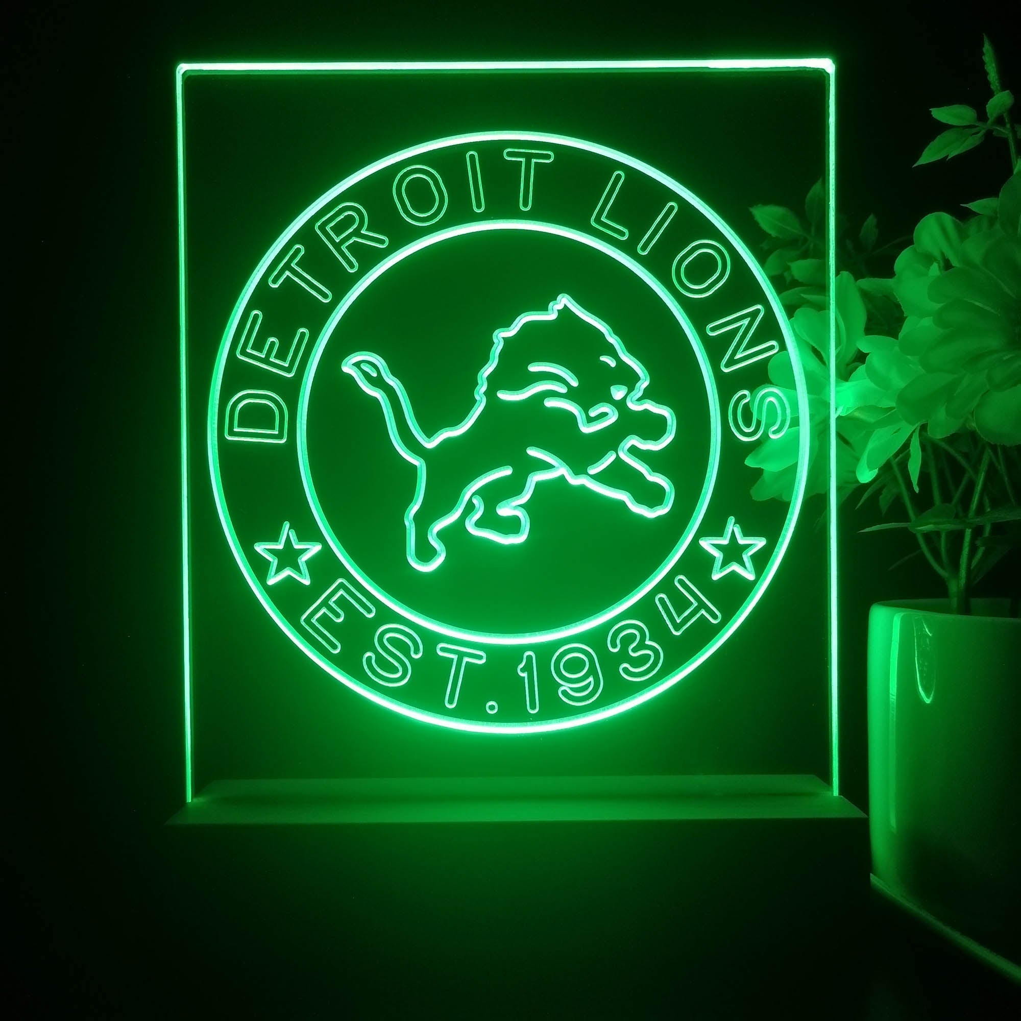 Personalized Detroit Lions Souvenir Neon LED Night Light Sign