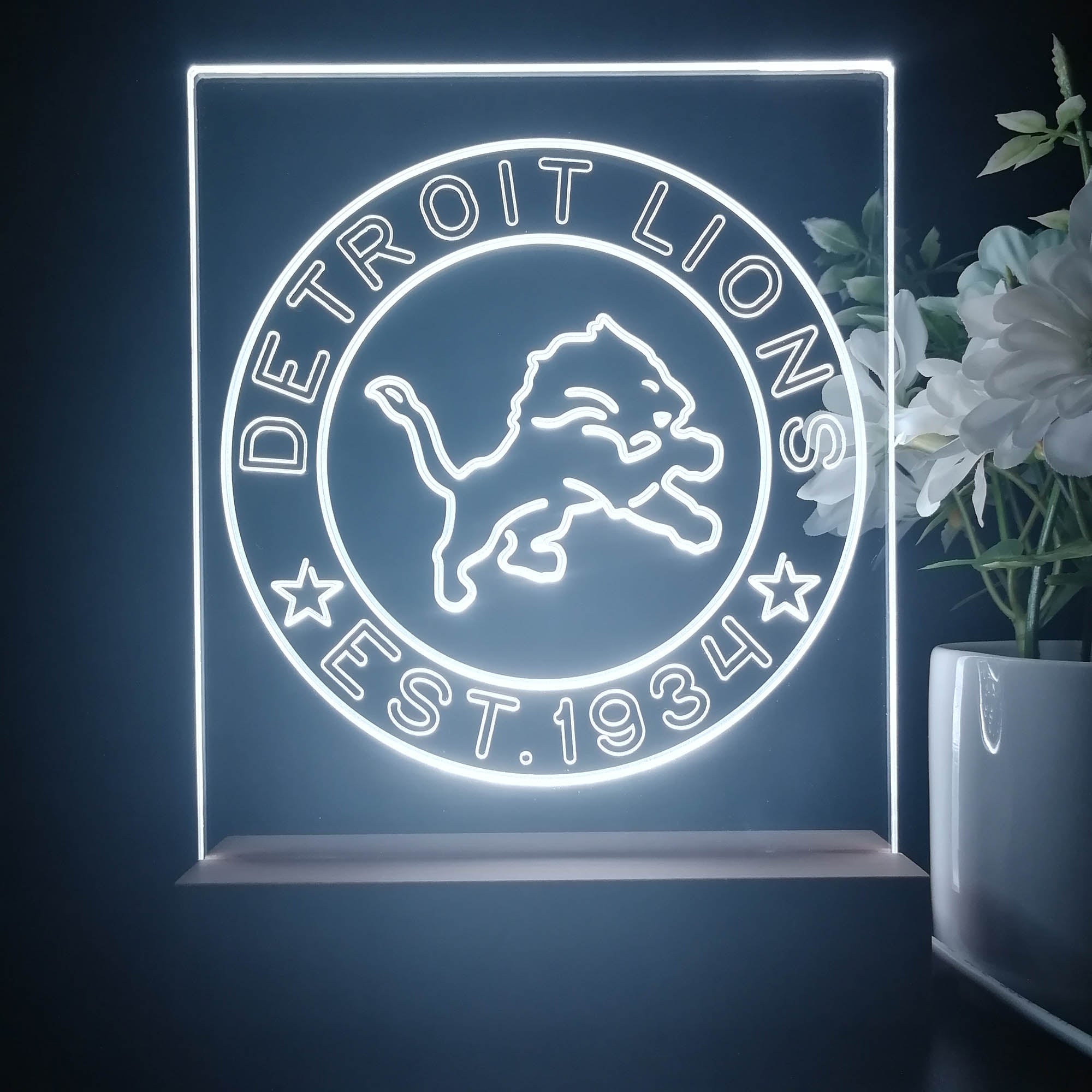 Personalized Detroit Lions Souvenir Neon LED Night Light Sign