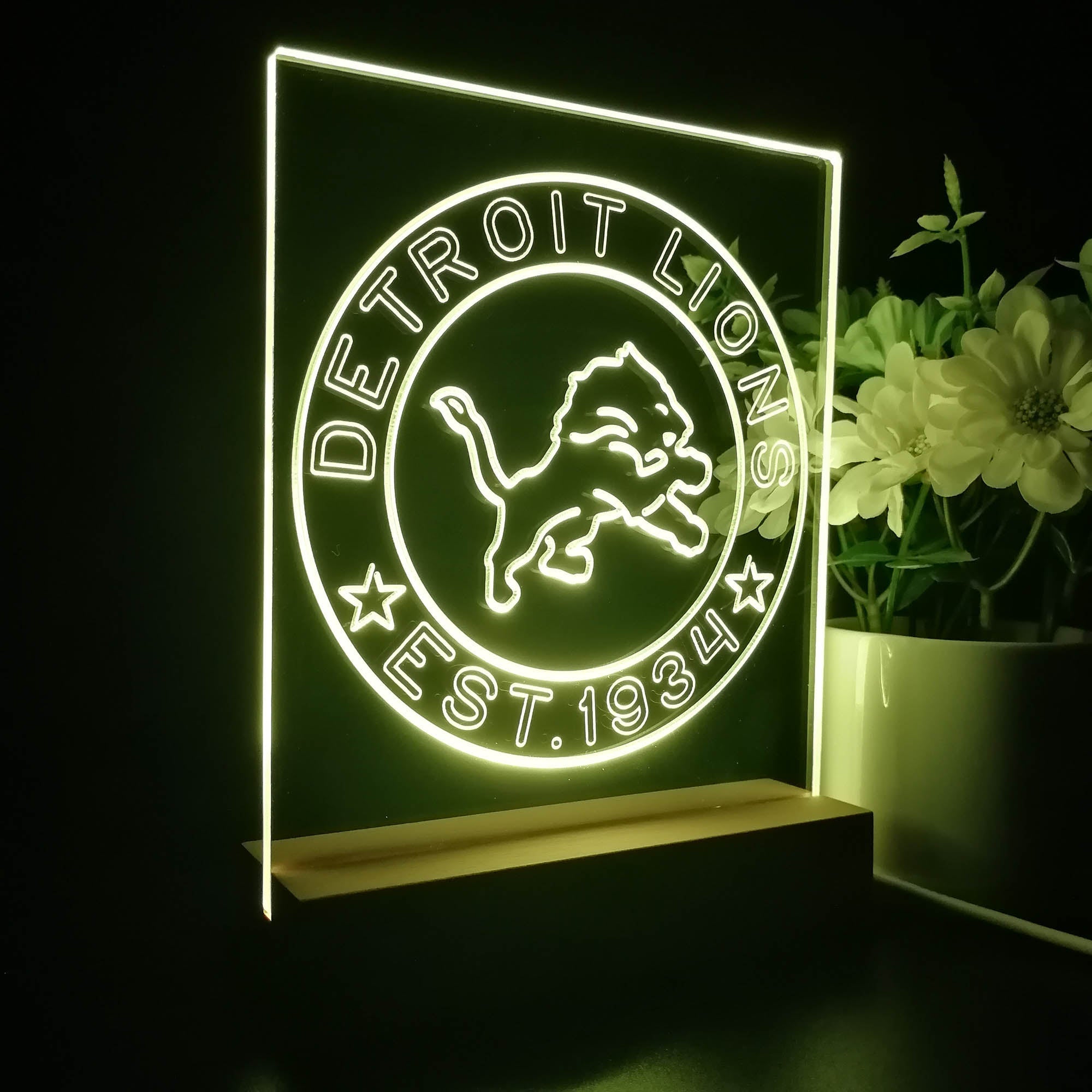 Personalized Detroit Lions Souvenir Neon LED Night Light Sign