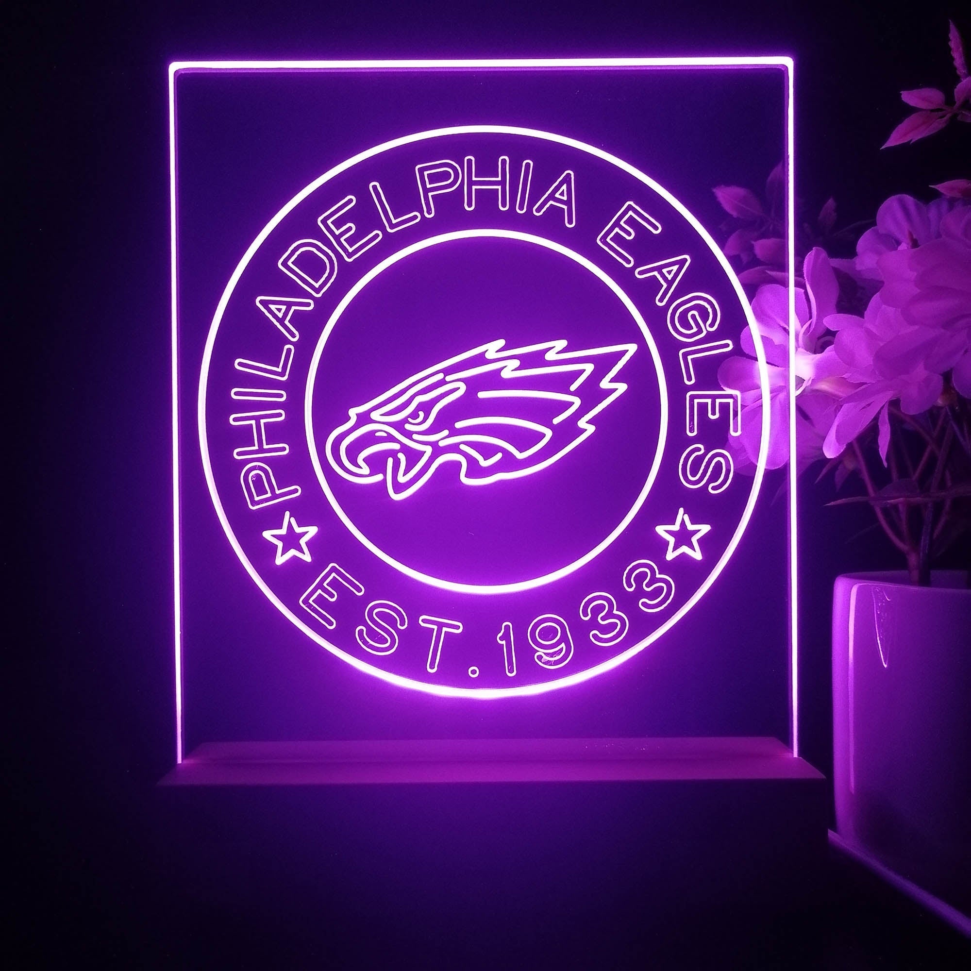 Personalized Philadelphia Eagles Souvenir Neon LED Night Light Sign