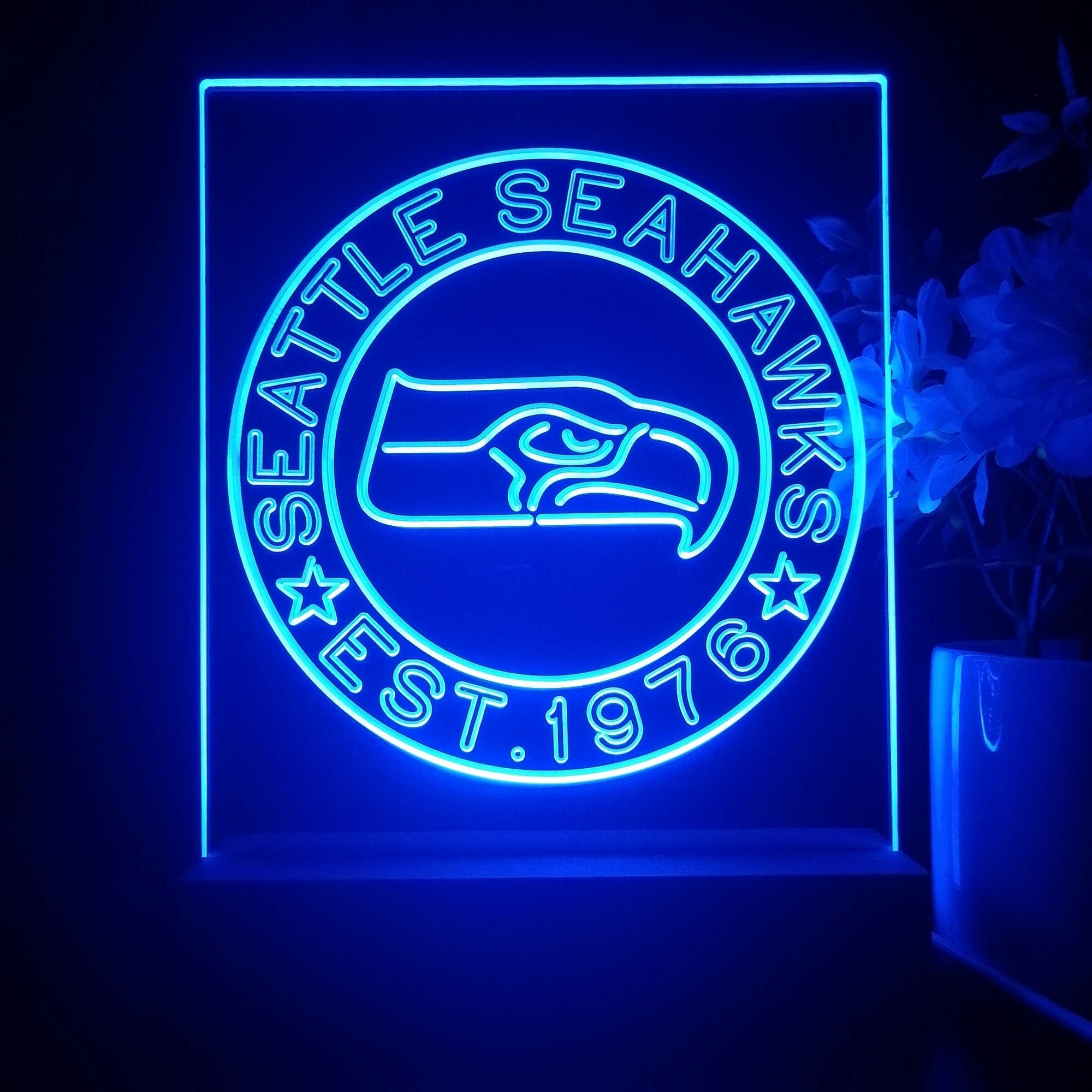 Personalized Seattle Seahawks Souvenir Neon LED Night Light Sign