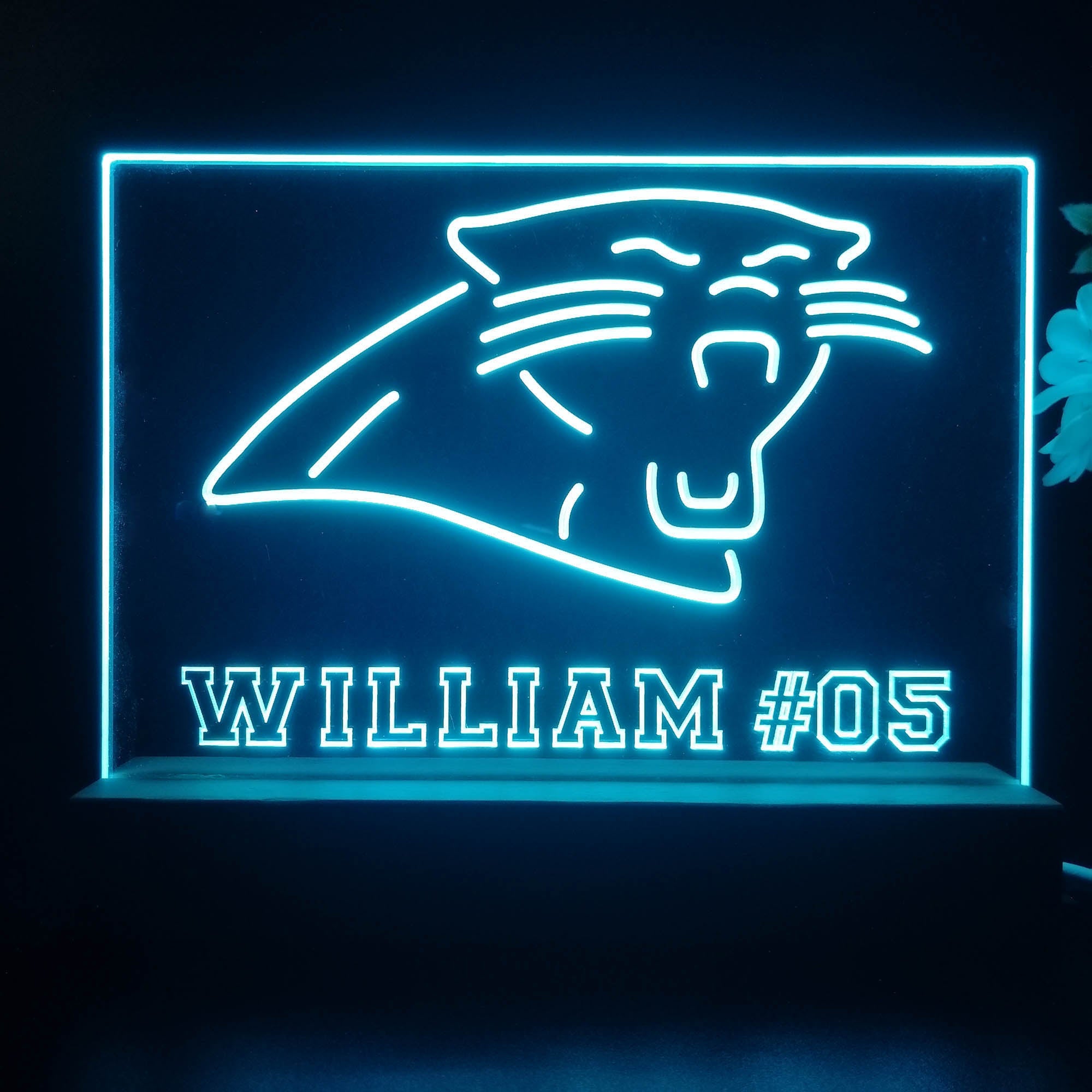 Personalized Carolina Panthers Souvenir Neon LED Night Light Sign