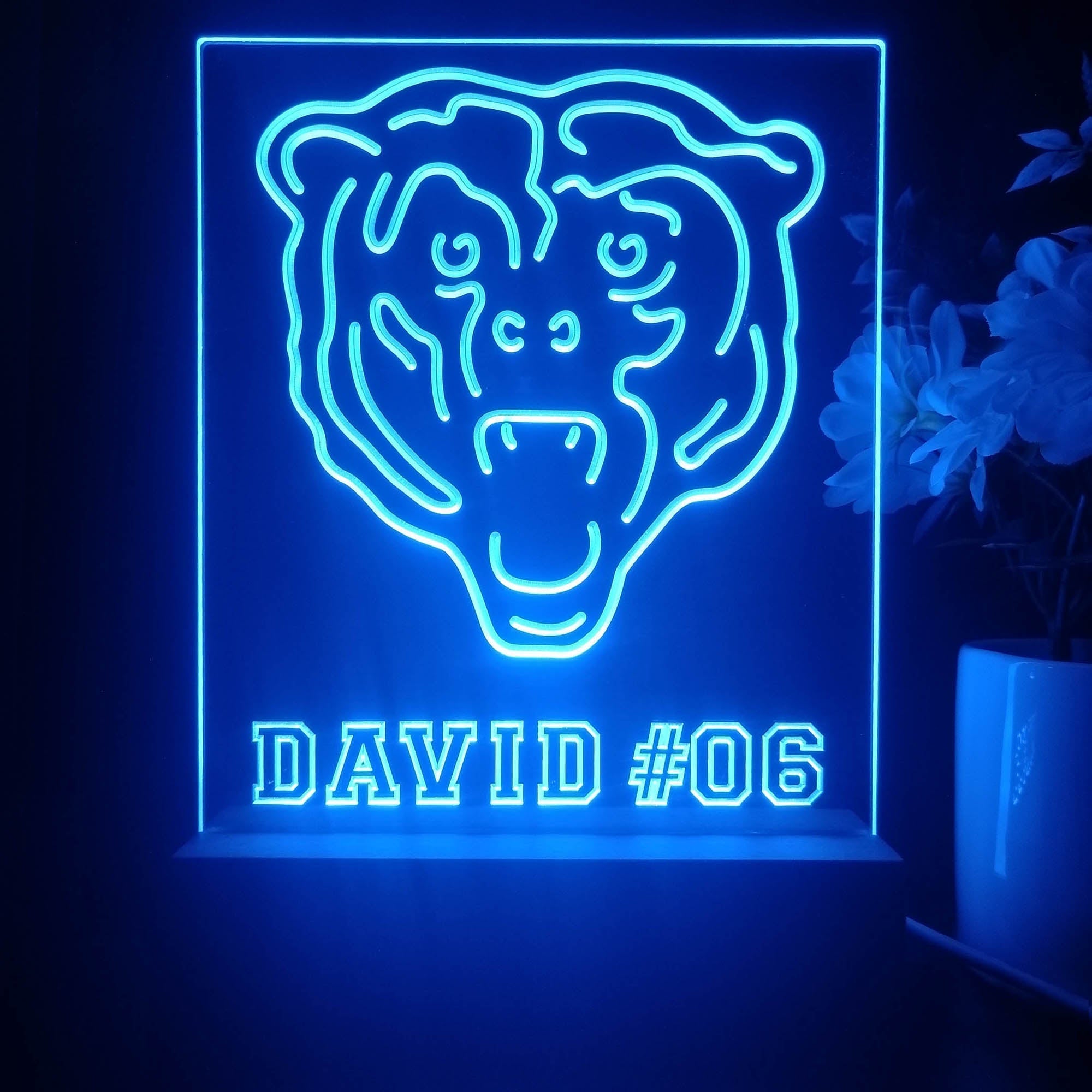 Personalized Chicago Bears Souvenir Neon LED Night Light Sign