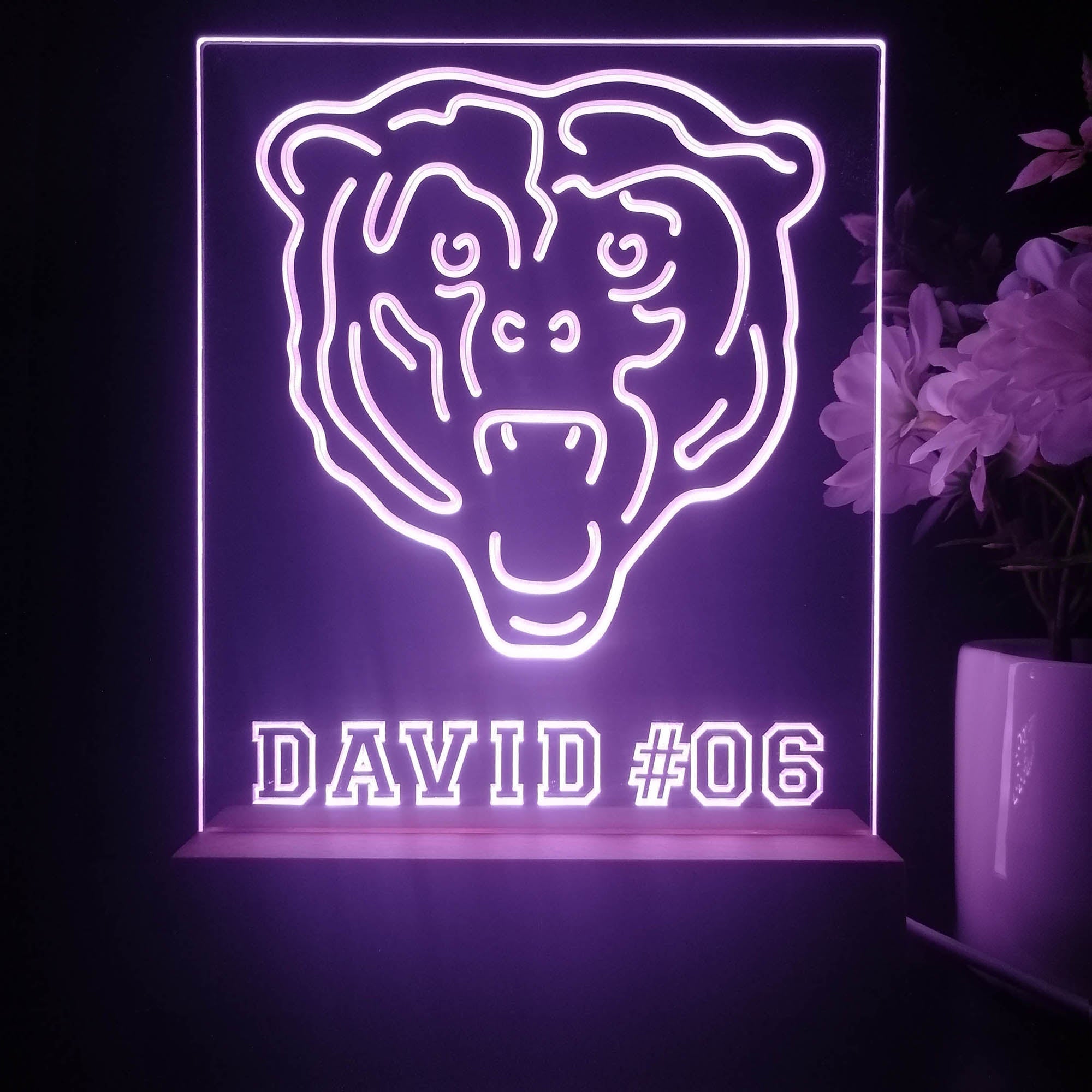 Personalized Chicago Bears Souvenir Neon LED Night Light Sign