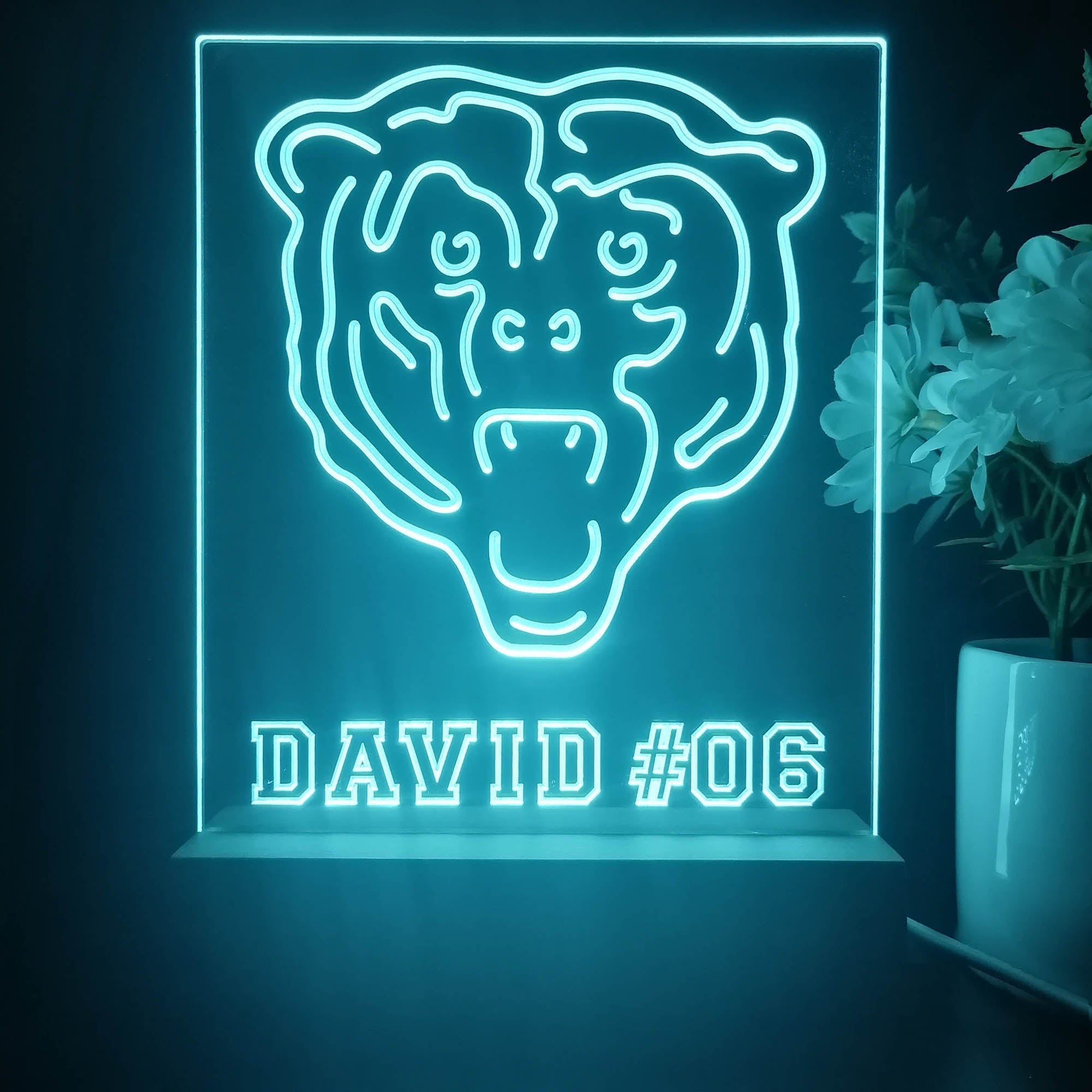 Personalized Chicago Bears Souvenir Neon LED Night Light Sign