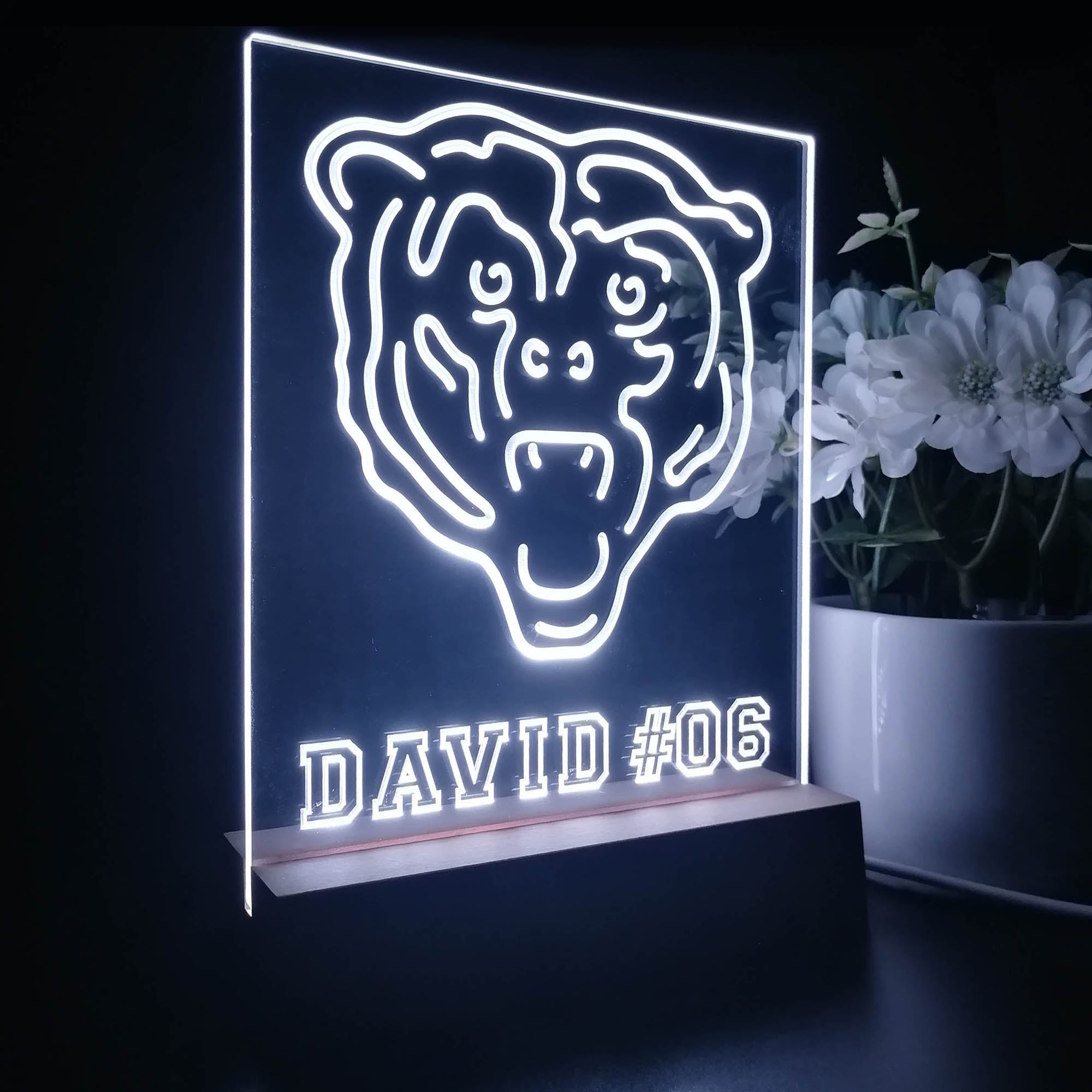 Personalized Chicago Bears Souvenir Neon LED Night Light Sign