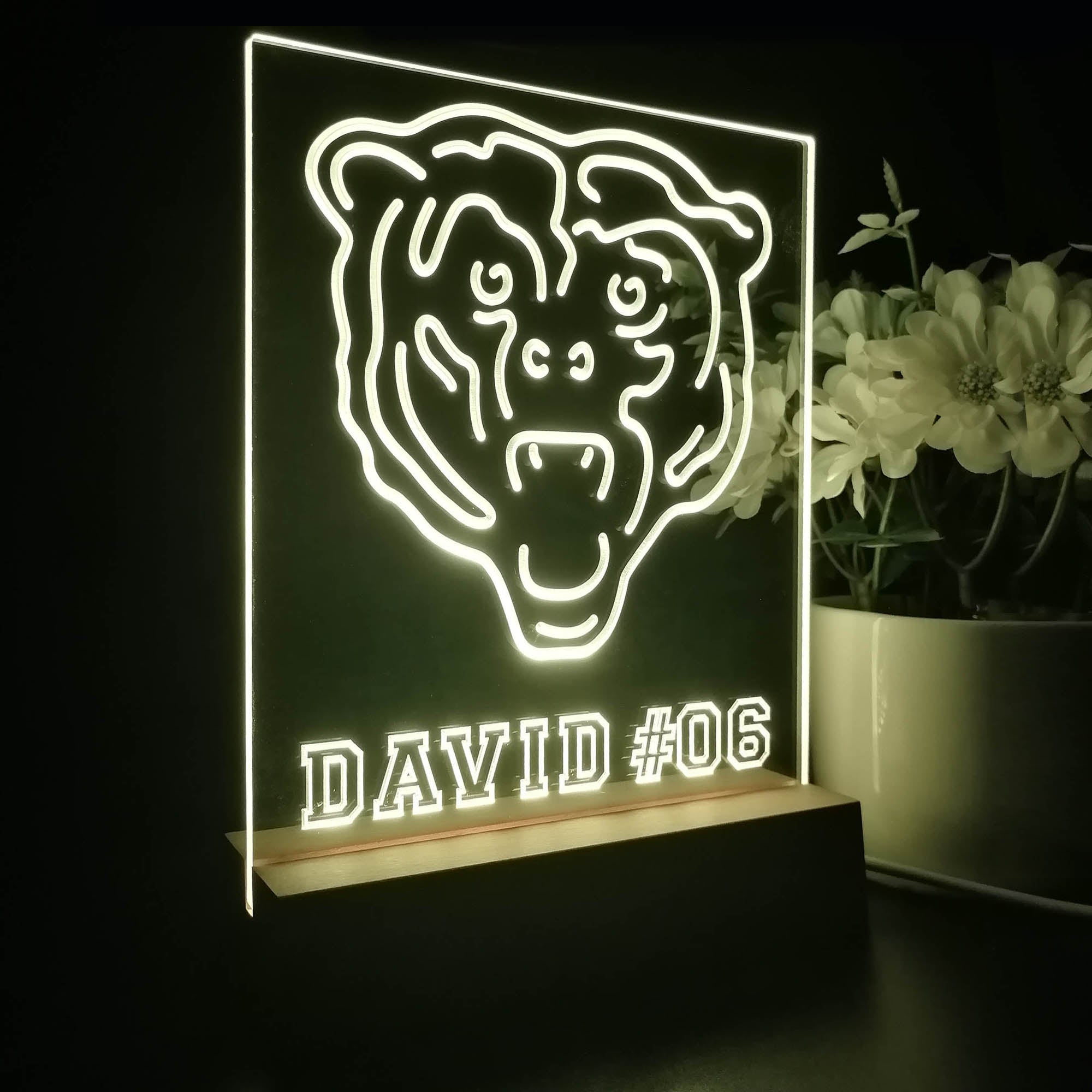 Personalized Chicago Bears Souvenir Neon LED Night Light Sign