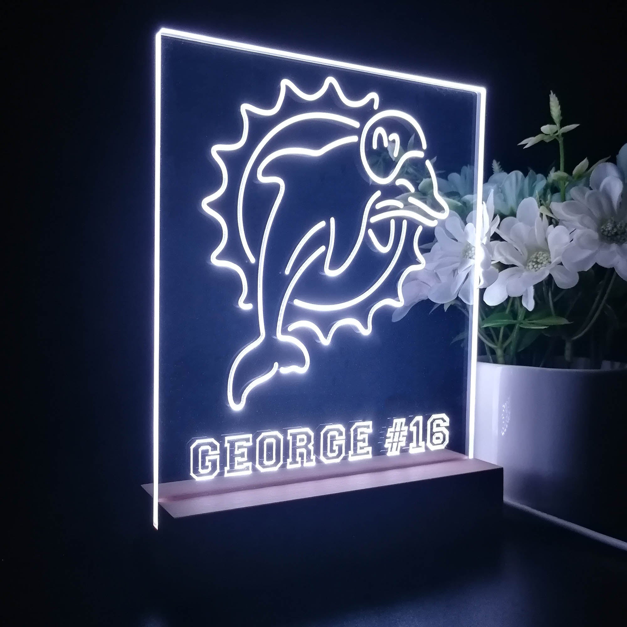 Personalized Miami Dolphins Souvenir Led Light Sign