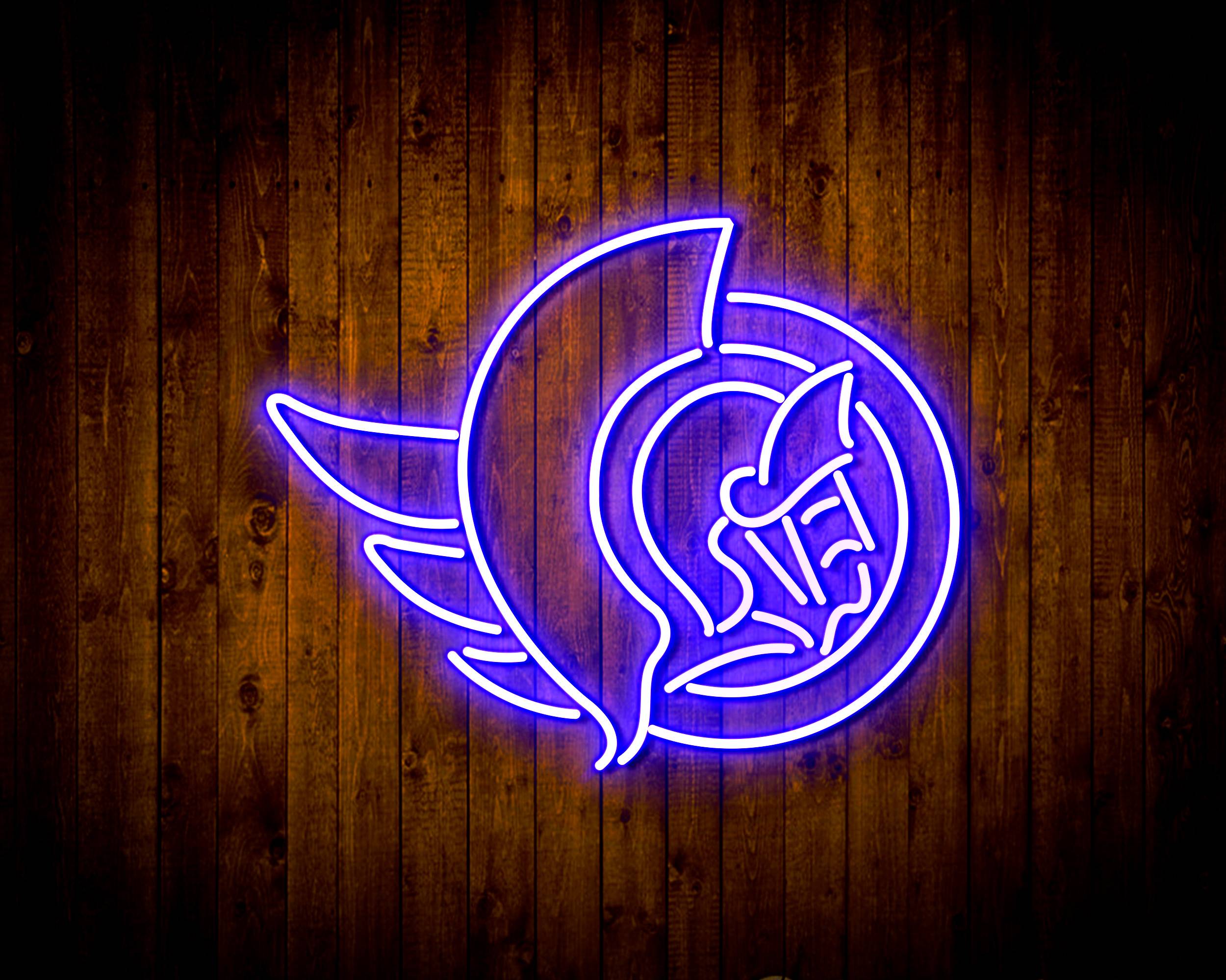 NHL Ottawa Senators Handmade LED Neon Light Sign